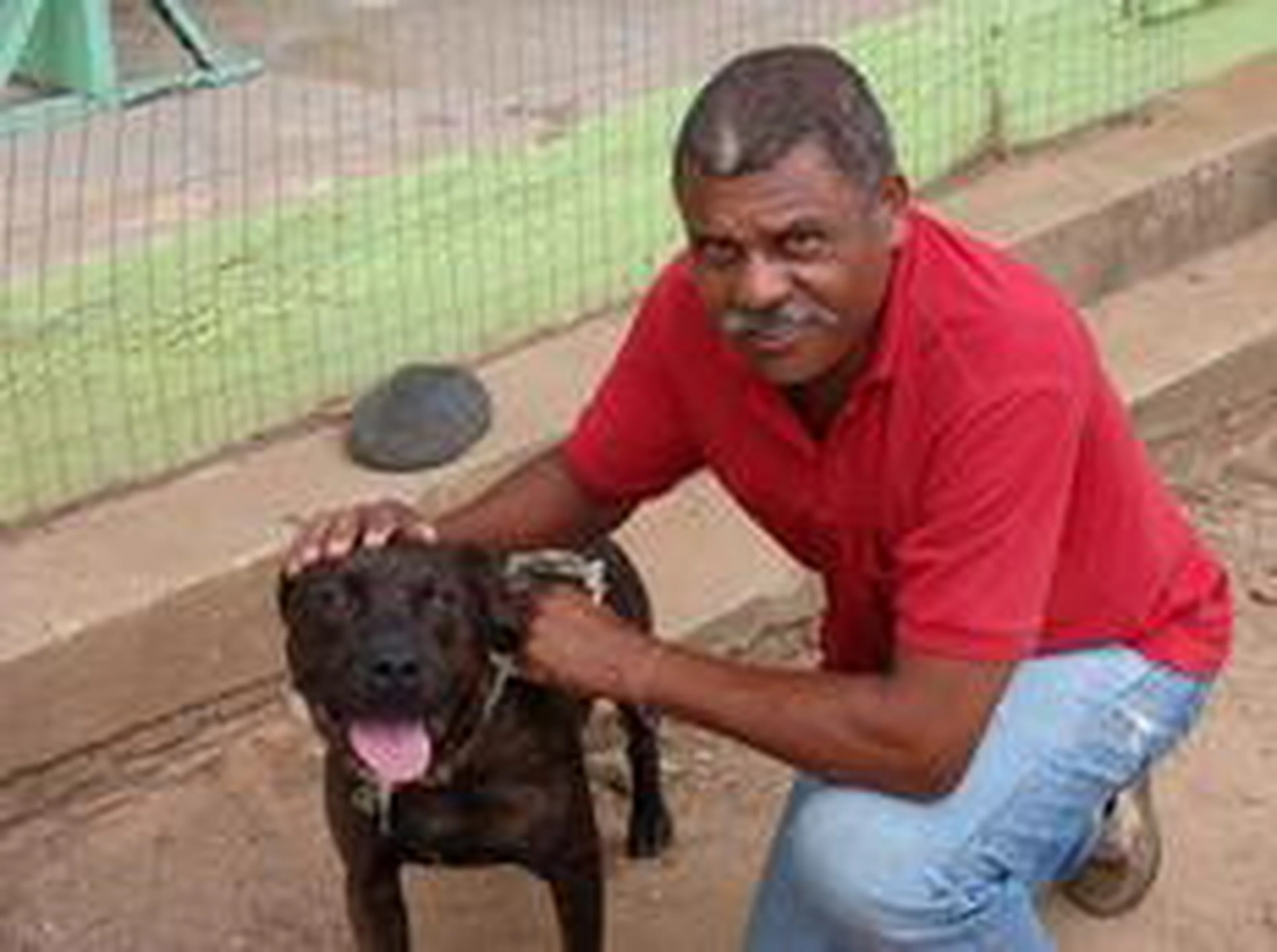 Luís Garcia/Divulgação