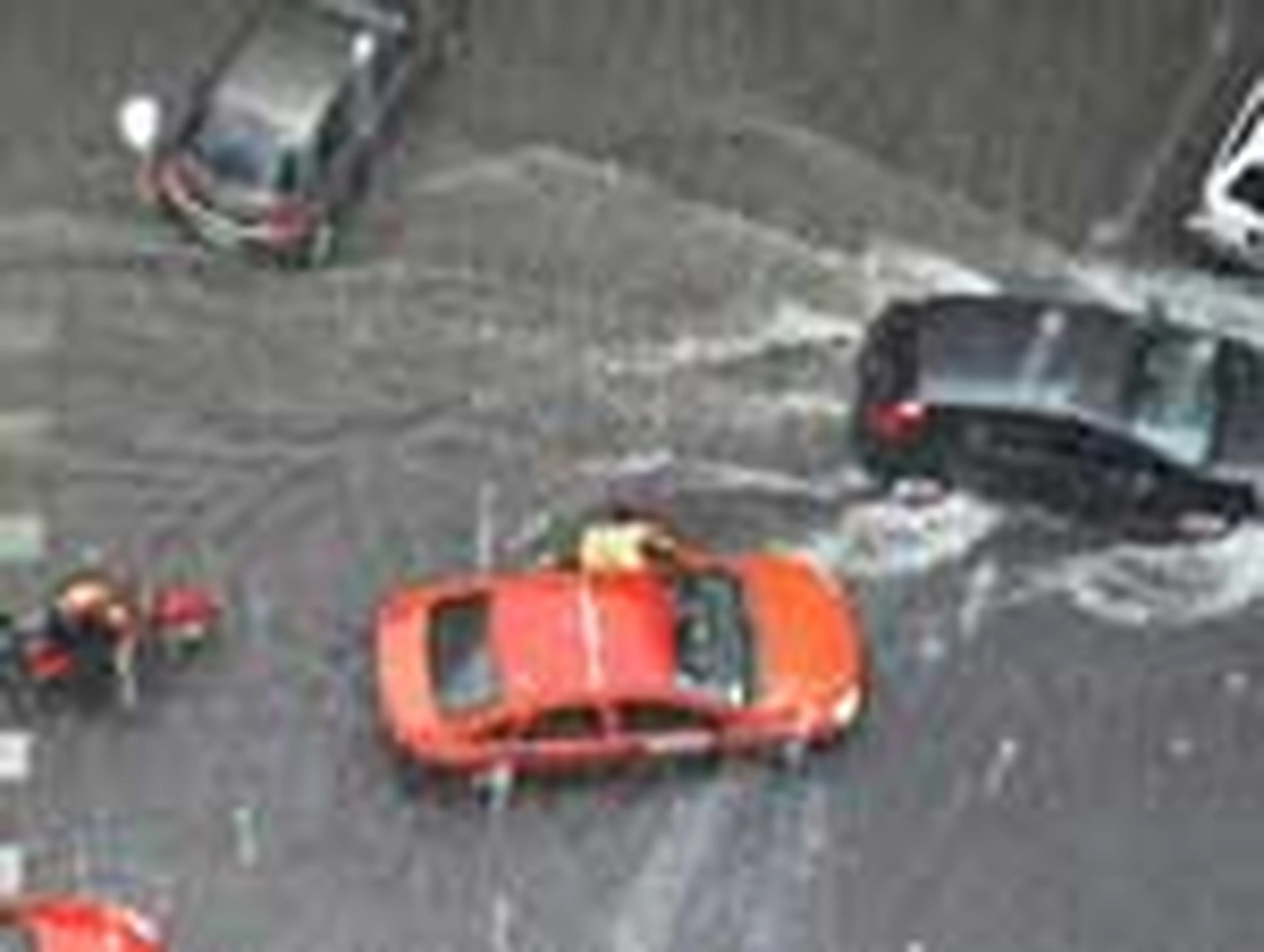 Cristina Rispoli d'Azevedo/null