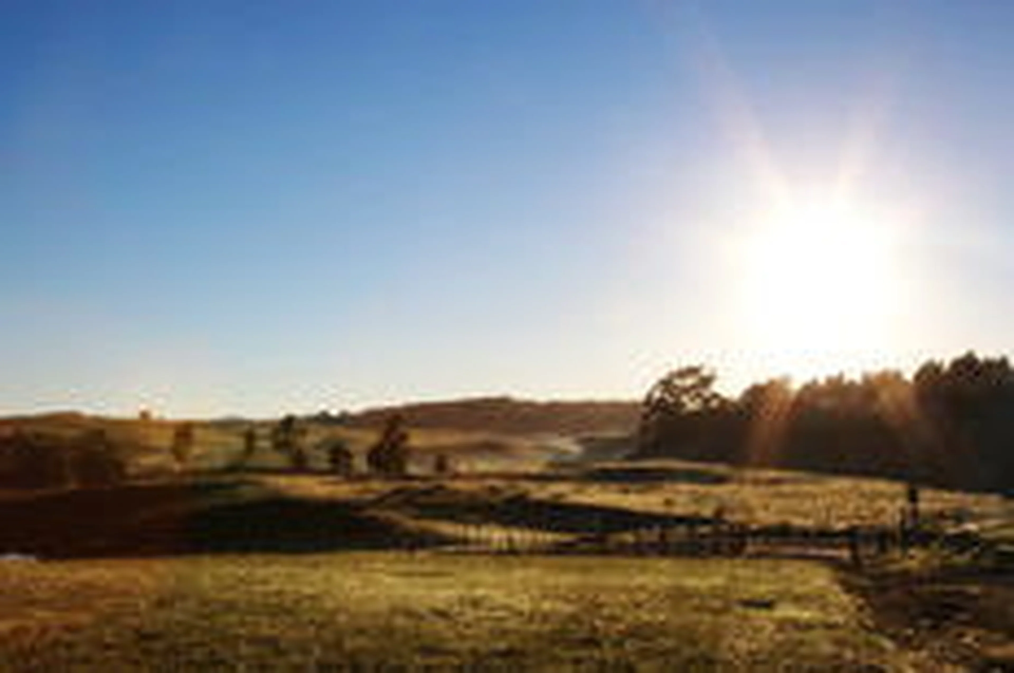 Liane Castilhos/Especial