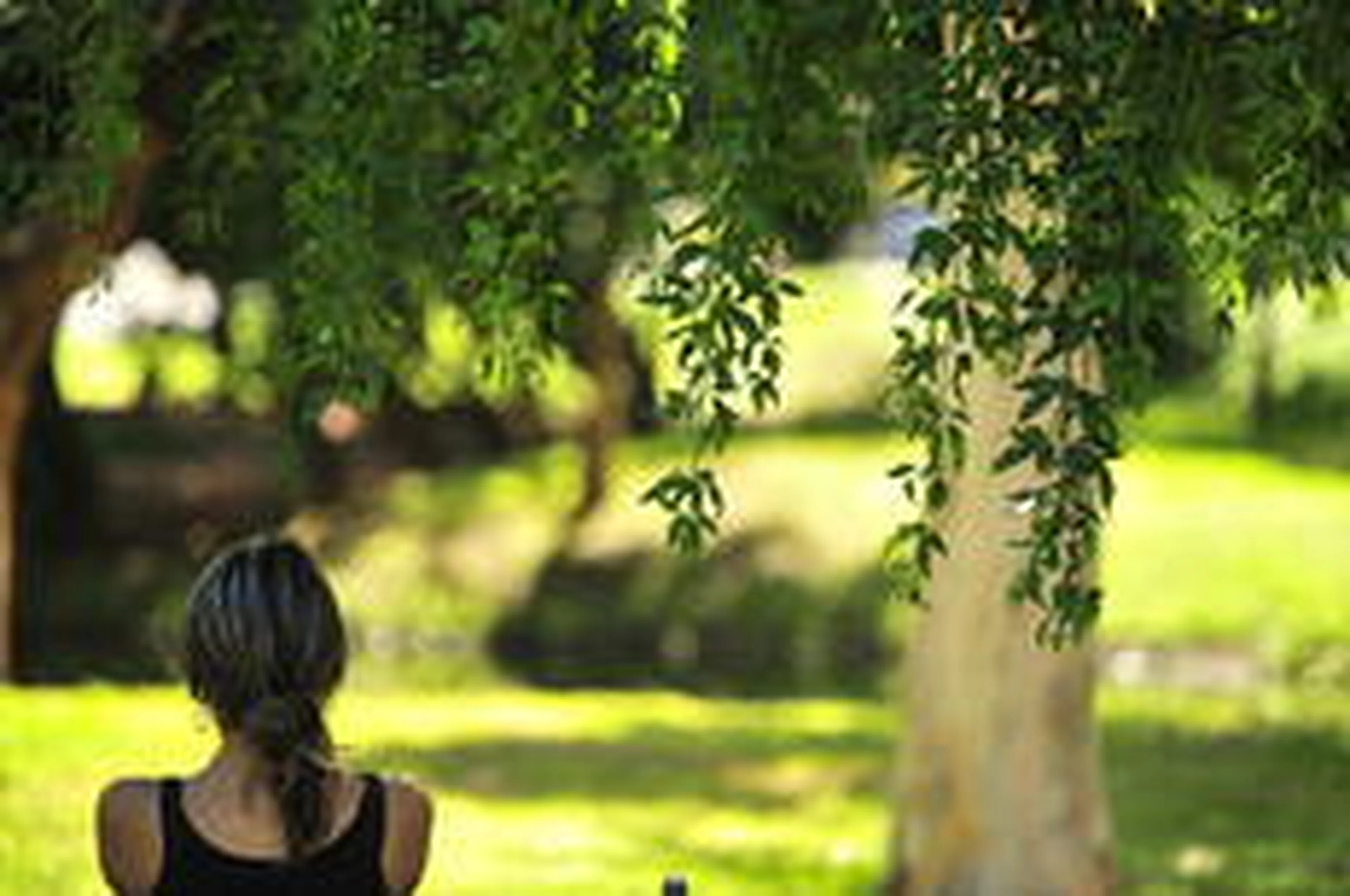 Lauro Alves/Agencia RBS