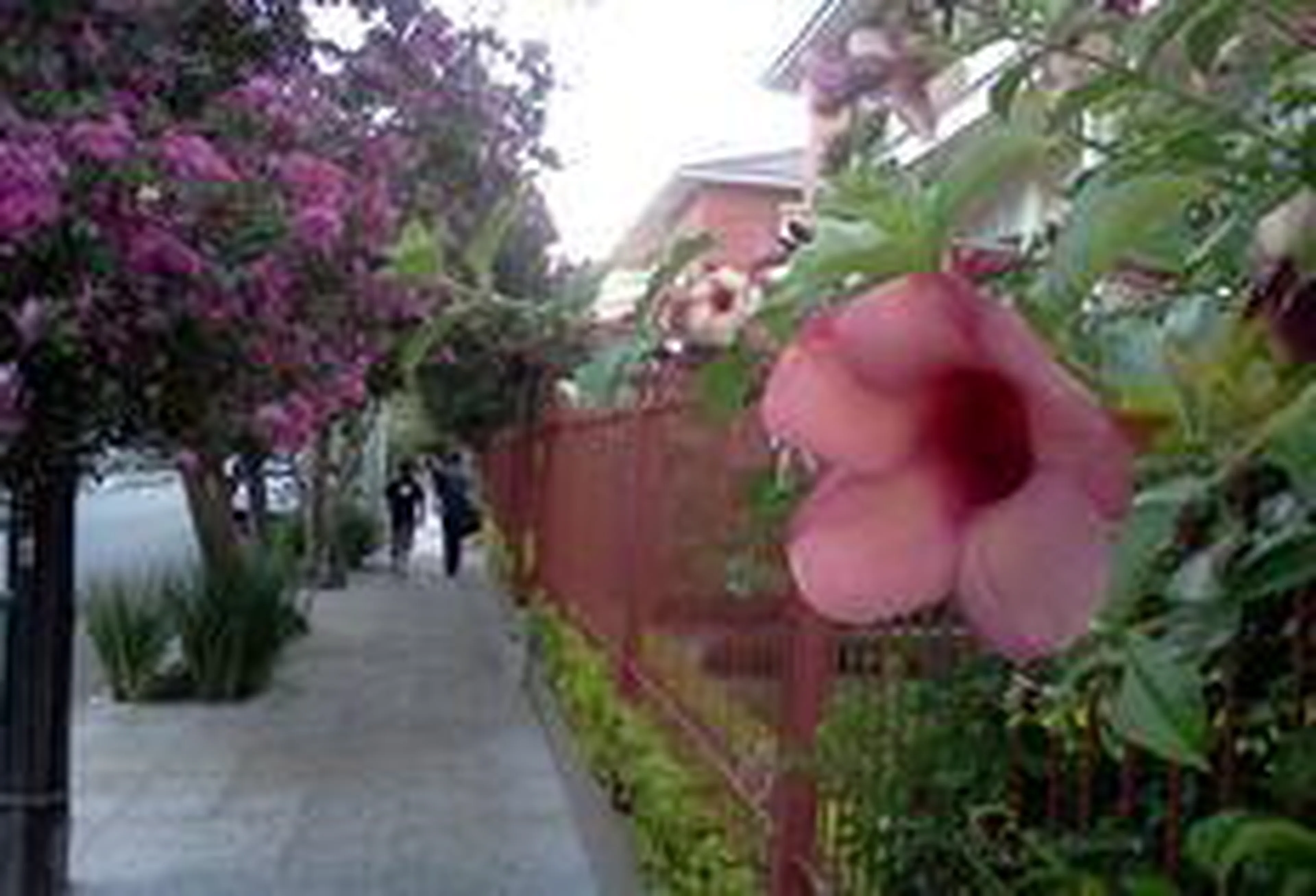 Lauro Alves/Agencia RBS