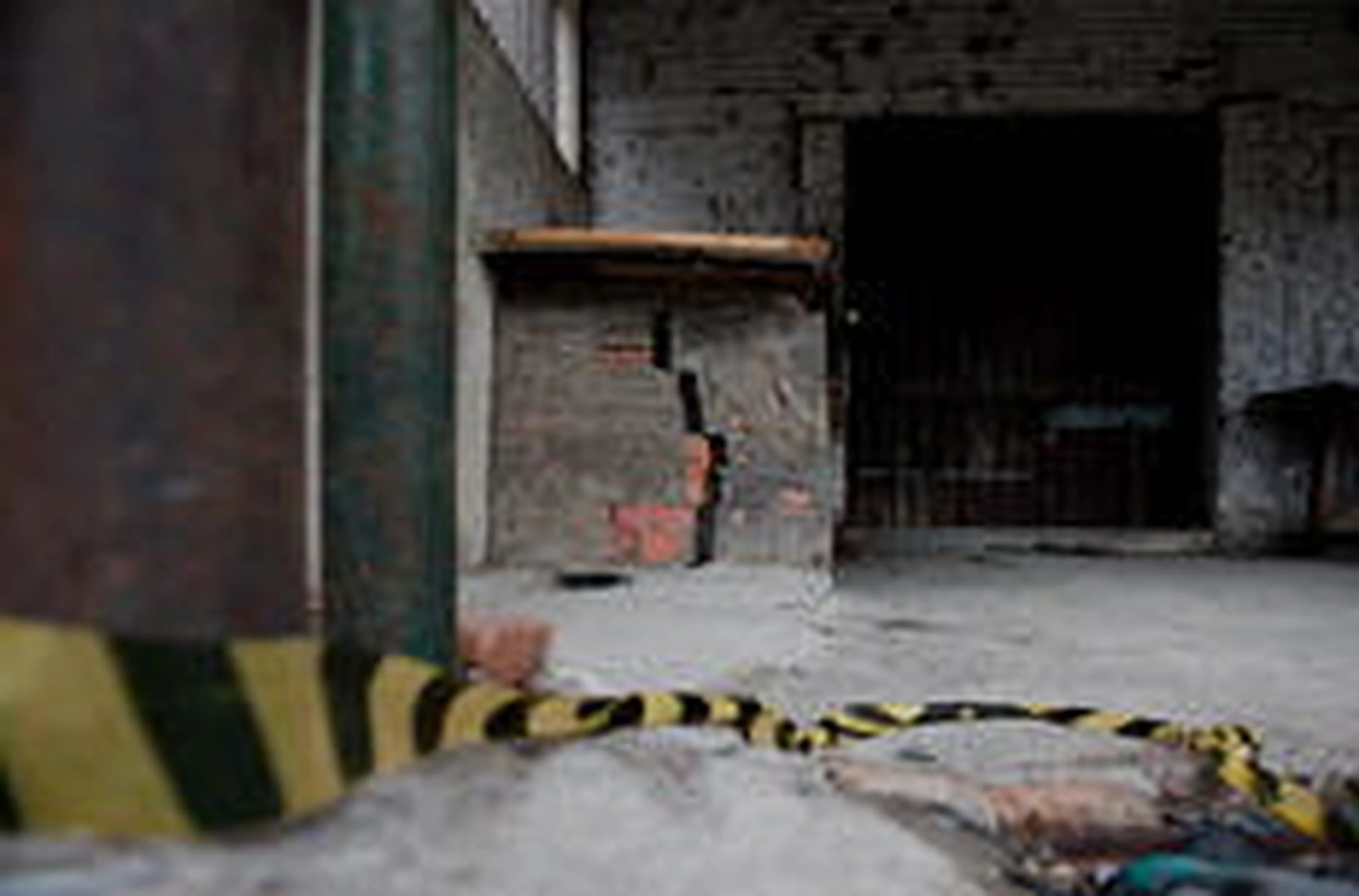 Carlos Macedo/Especial