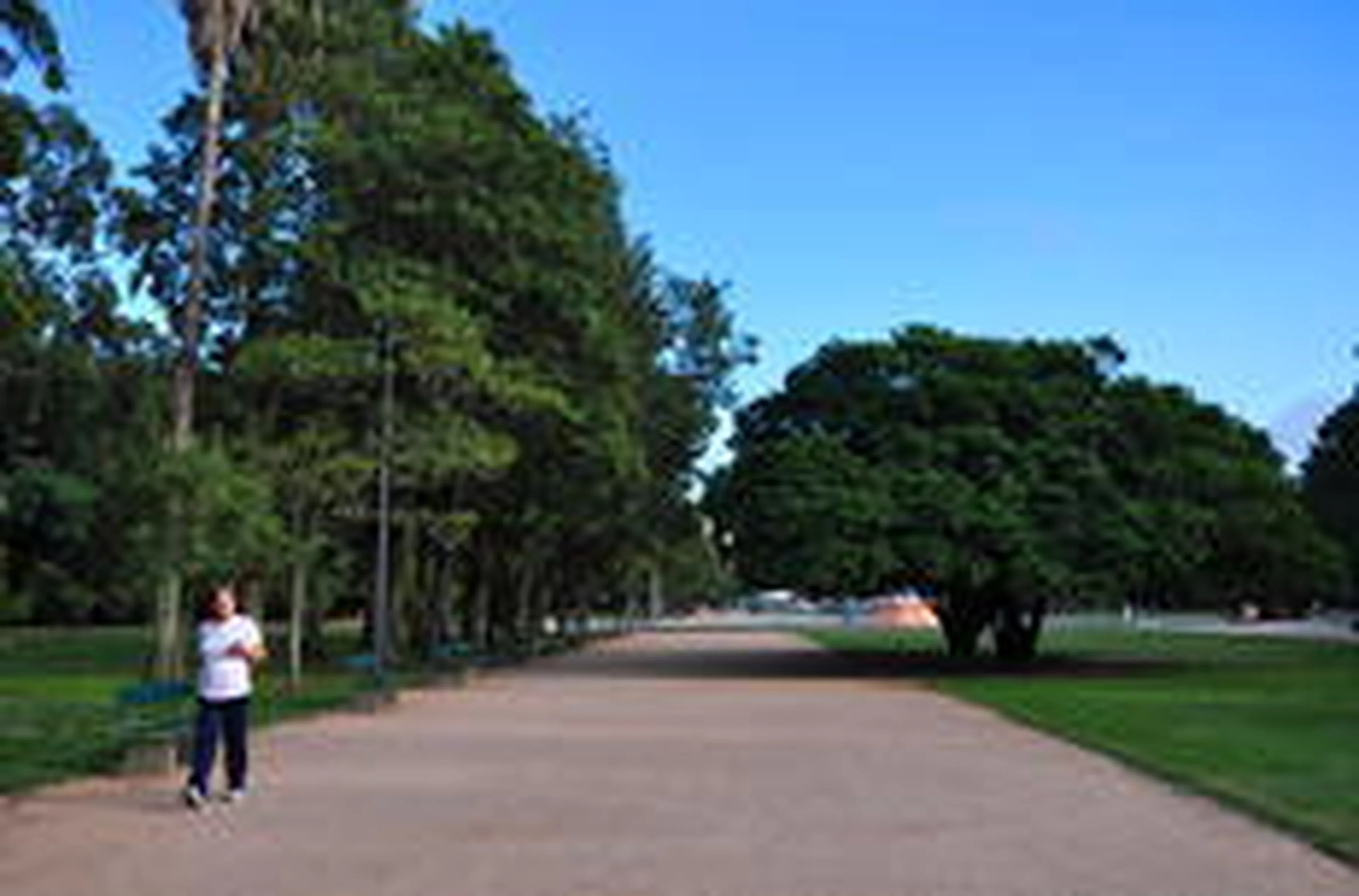 Lívia Stumpf/Especial