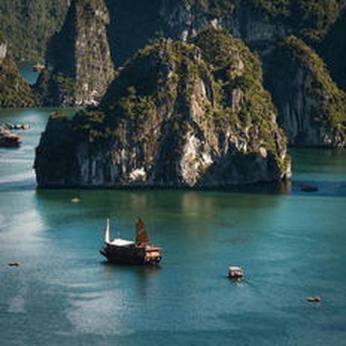 Reprodução / Reprodução