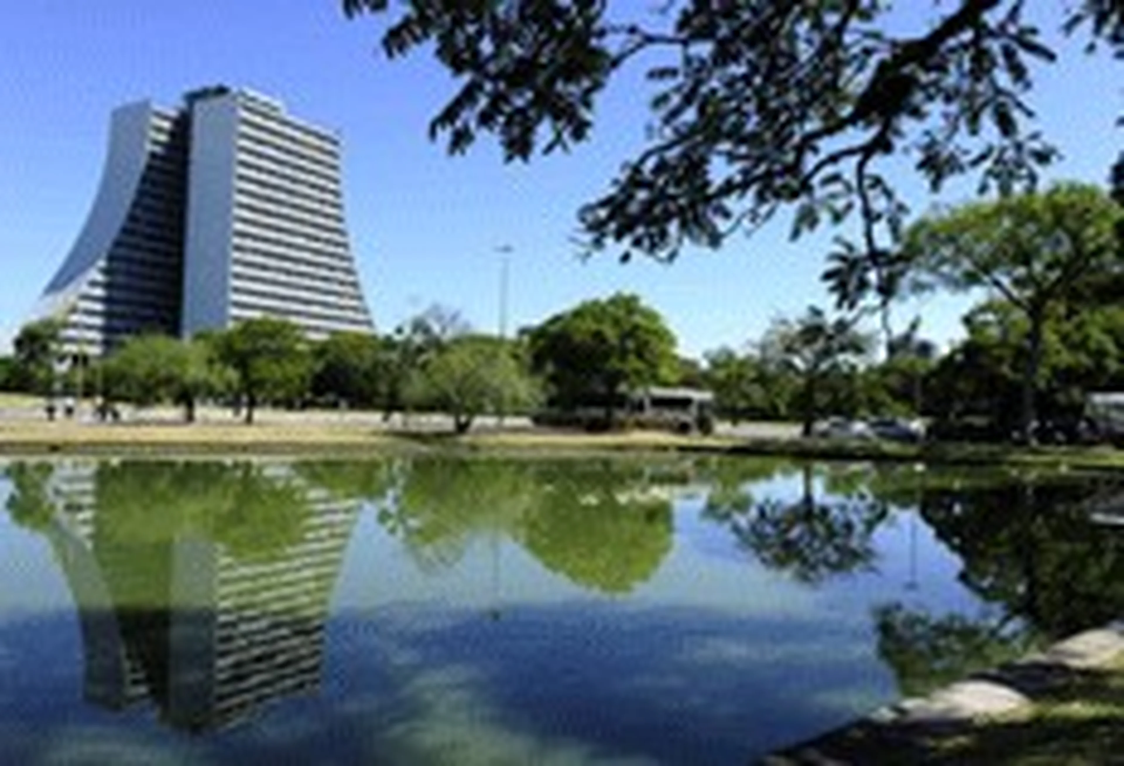 Ronaldo Bernardi/null