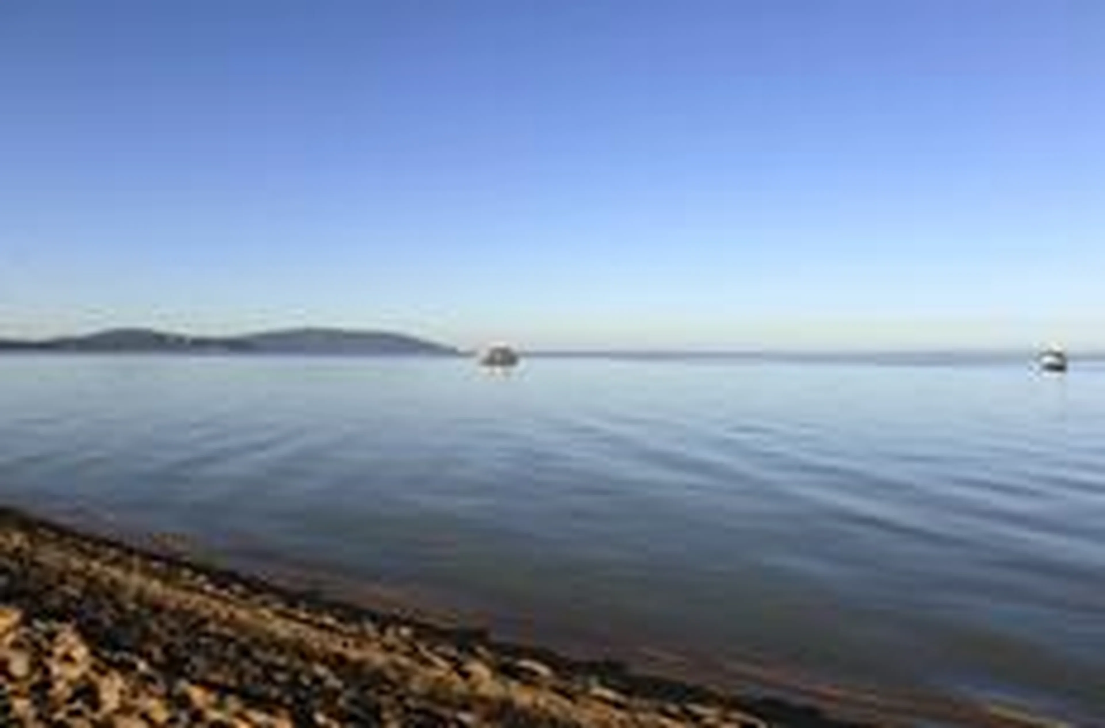 Ronaldo Bernardi/Agência RBS