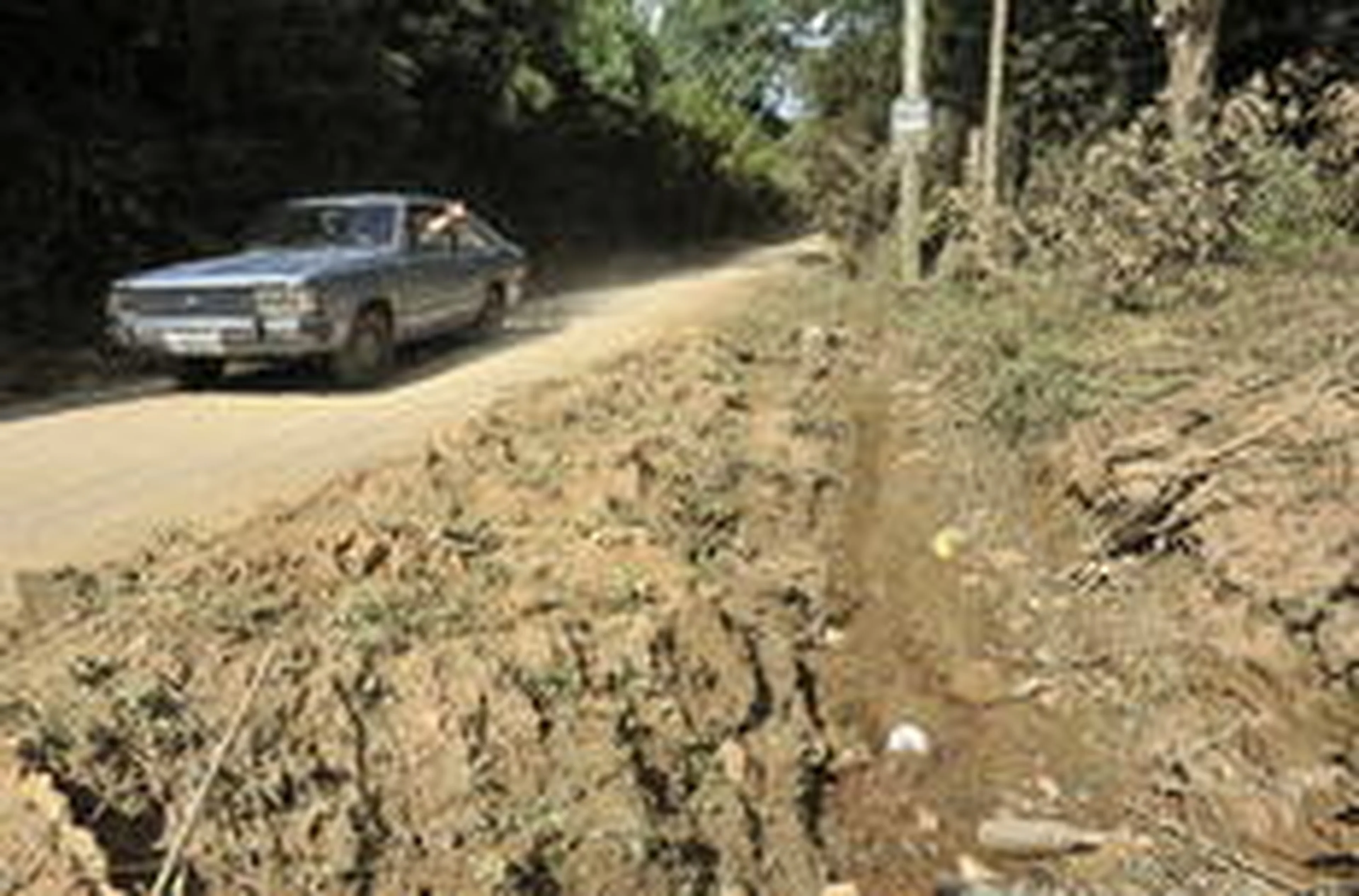 Mateus Bruxel/Agencia RBS