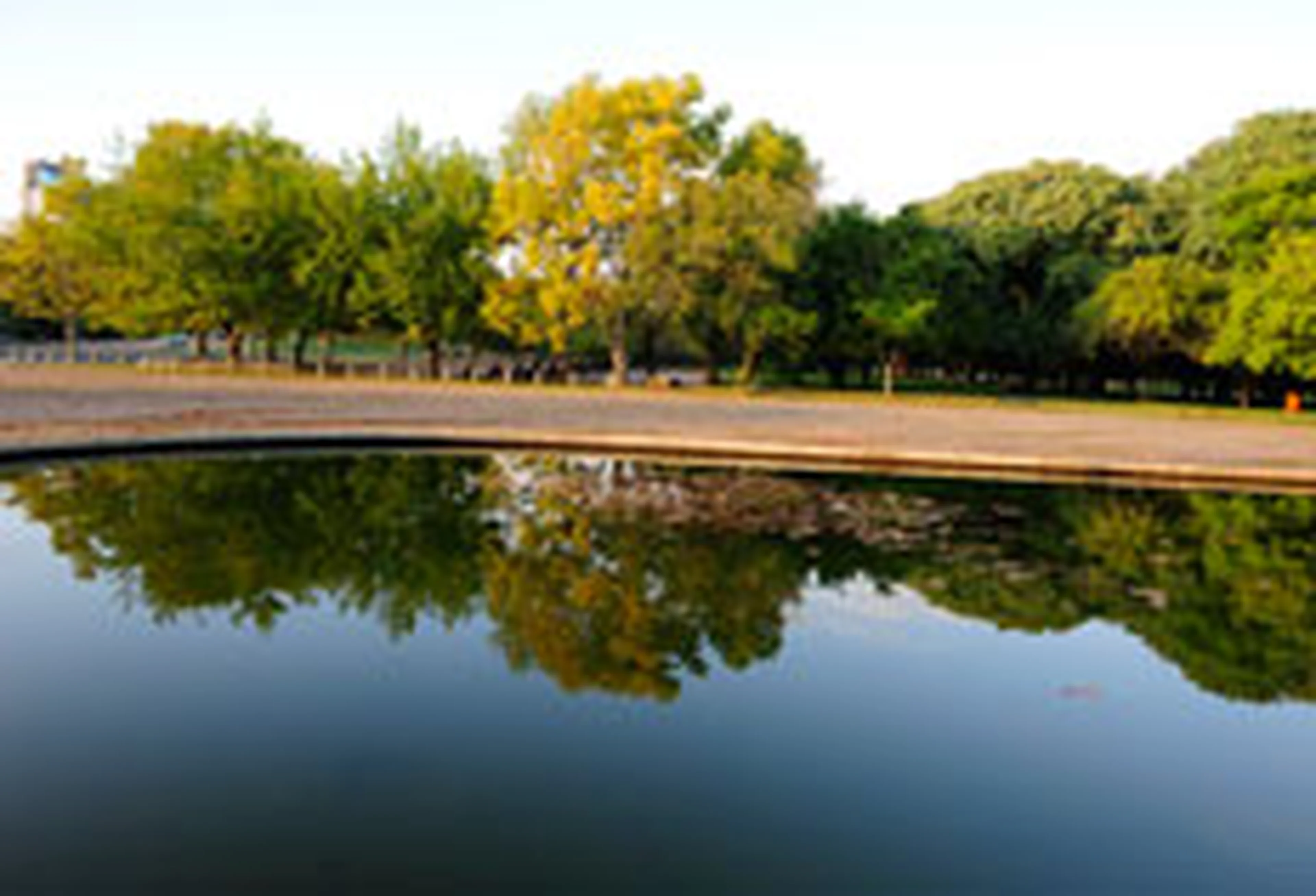 Ronaldo Bernardi/null