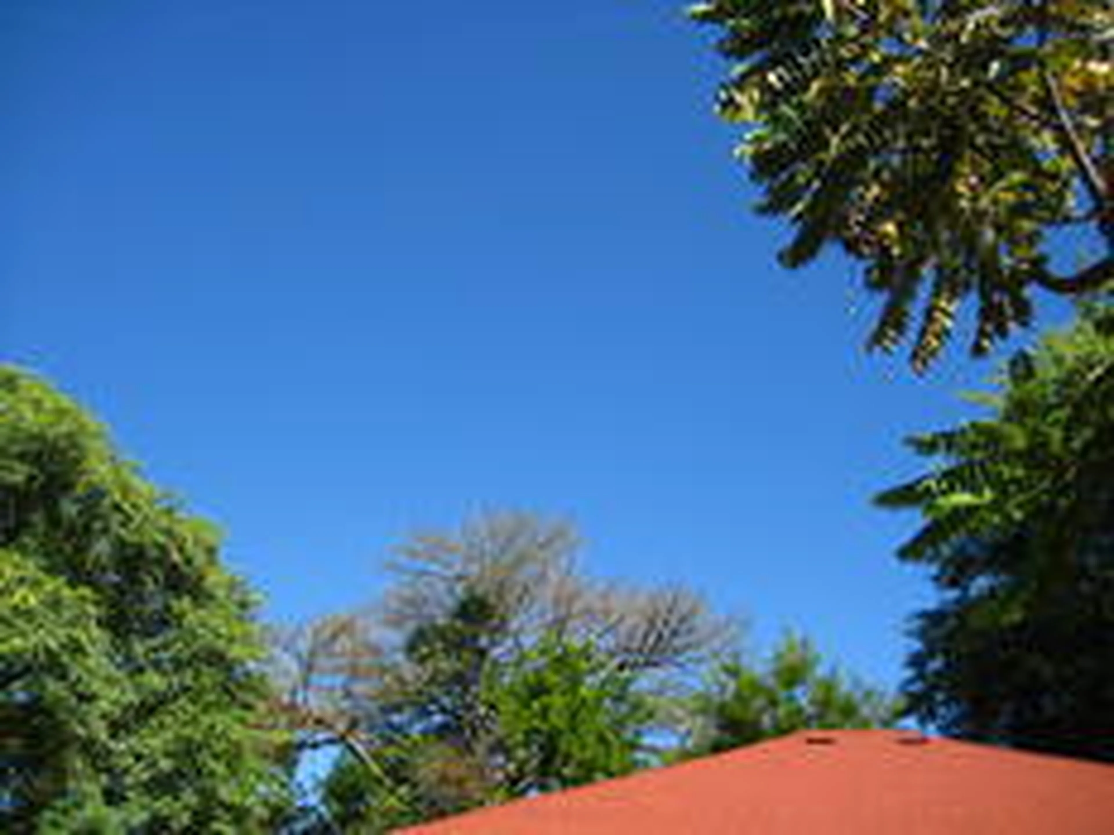 Nícholas Fonseca/Arquivo Pessoal