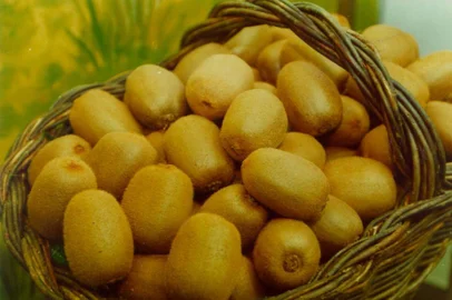 Kiwi Fenakiwi fruta,kiwi,fenakiwi