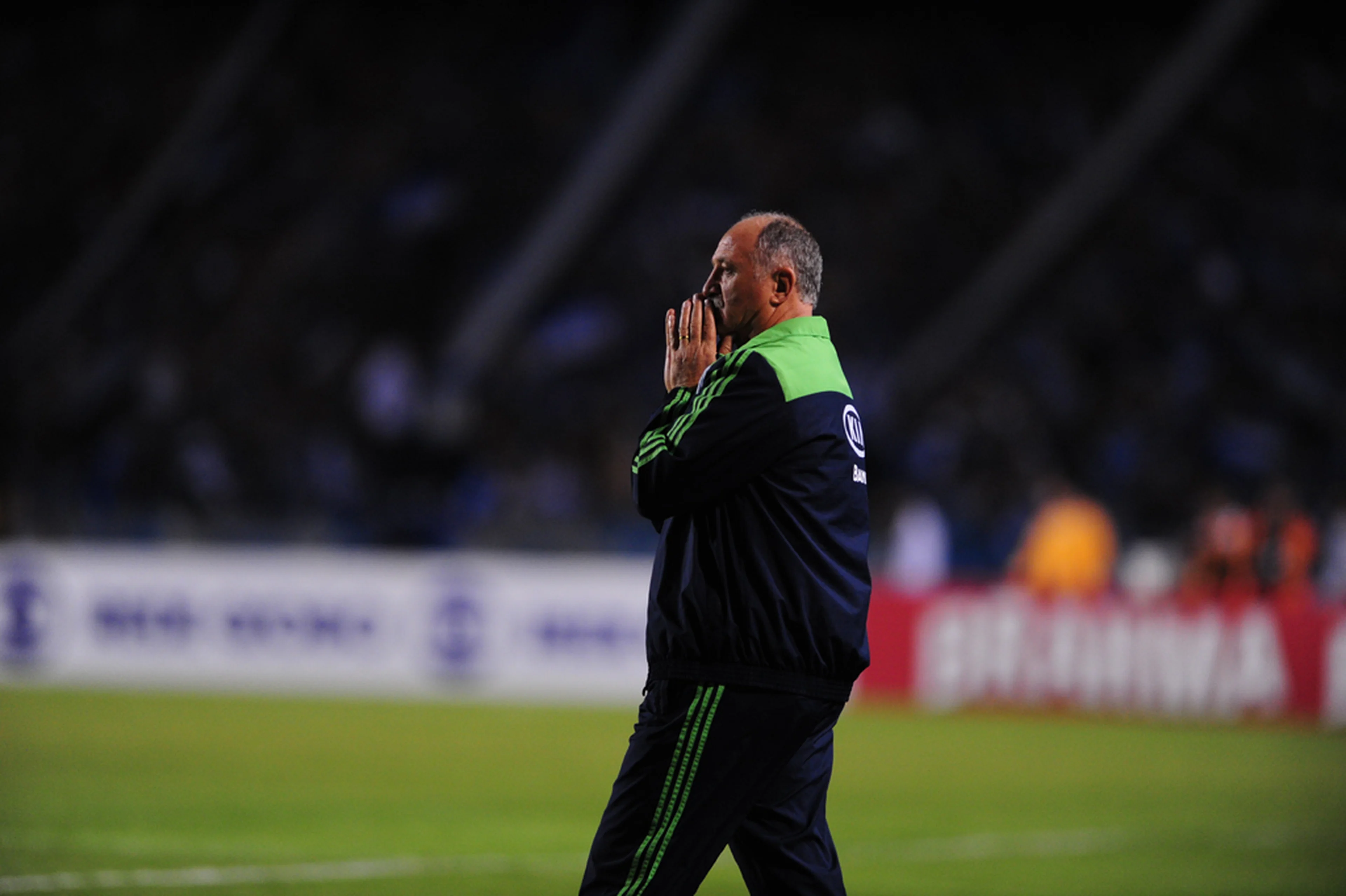 Fernando Gomes/null