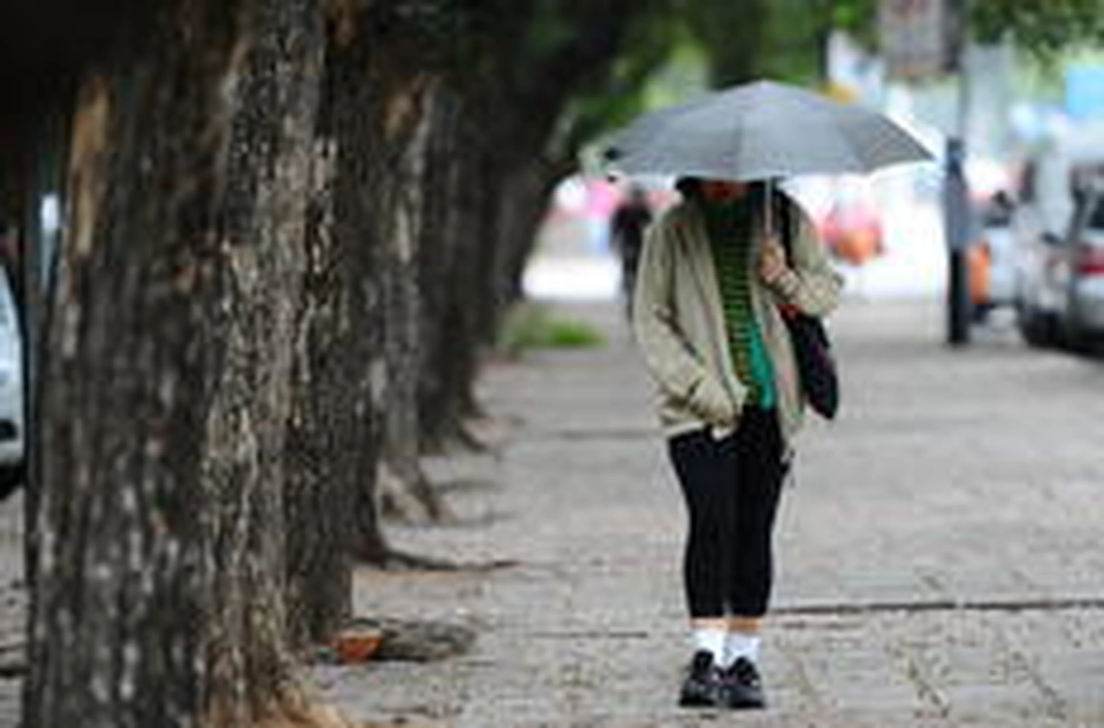 Emílio Pedroso/Agencia RBS