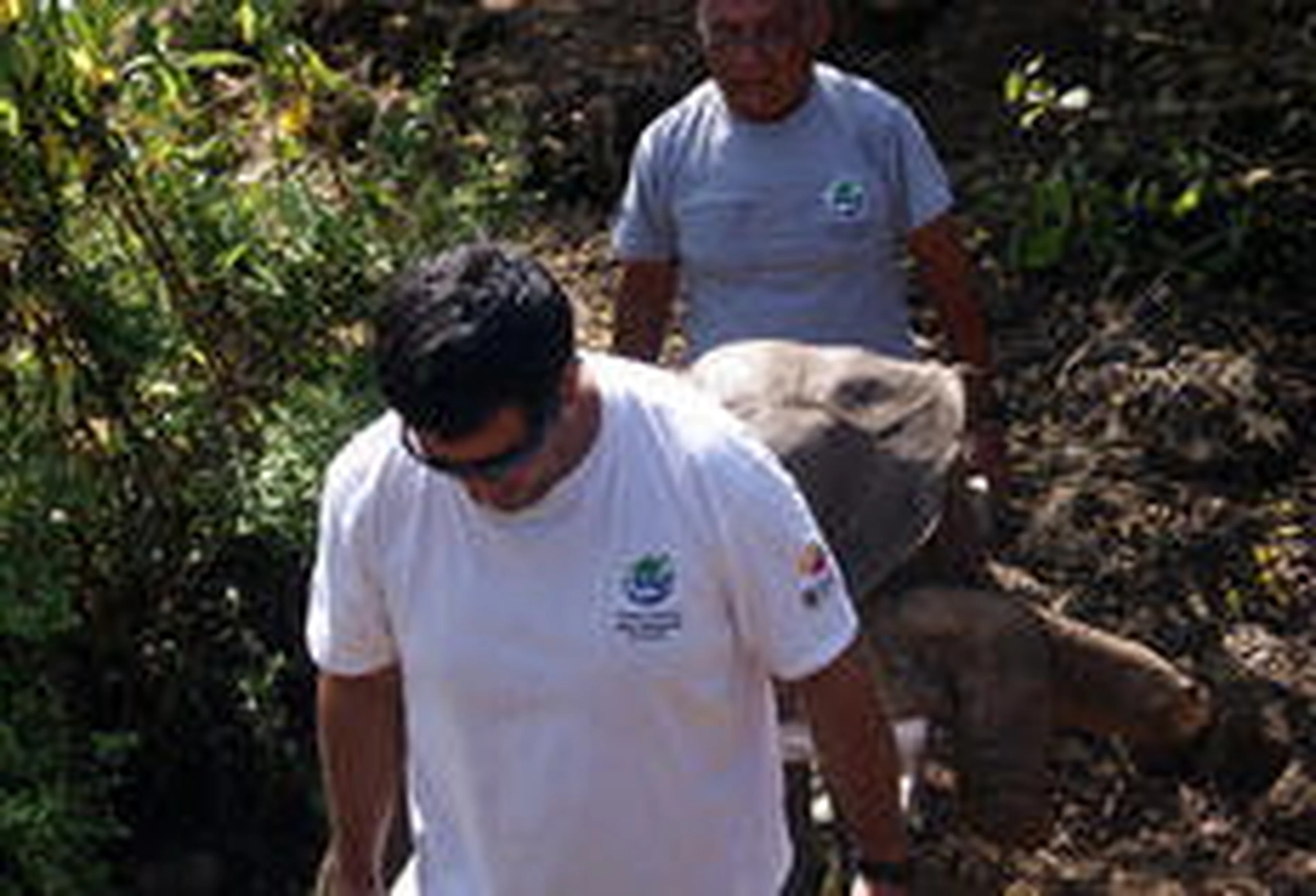 Galapagos National Park Direction/AP Photo
