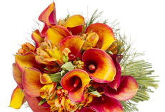 Cores no inverno 4