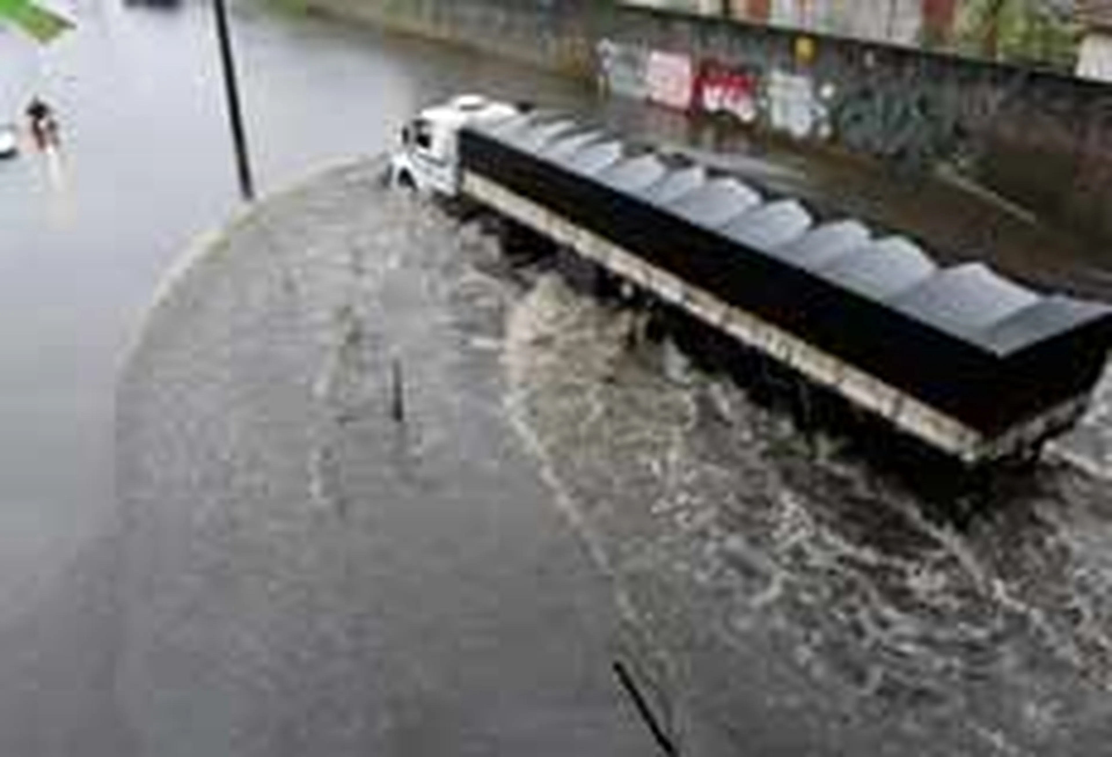 Ronaldo Bernardi/null