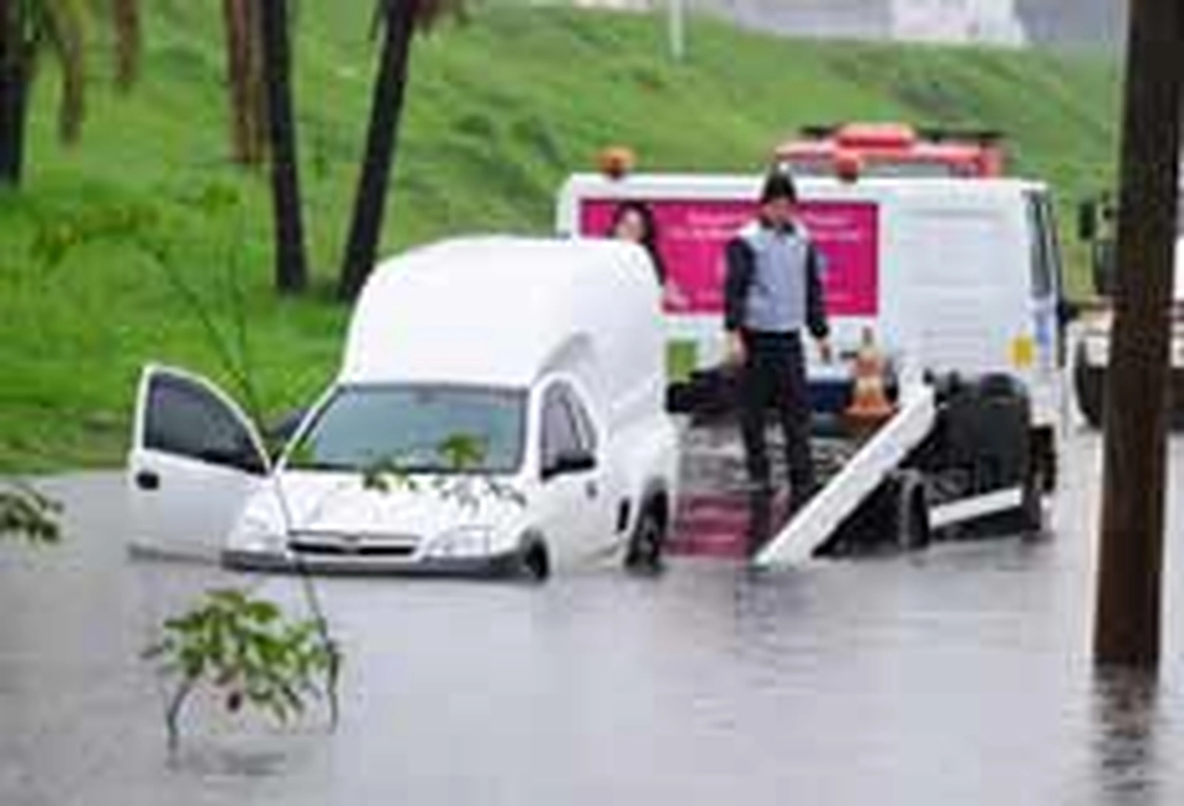 Ronaldo Bernardi/null