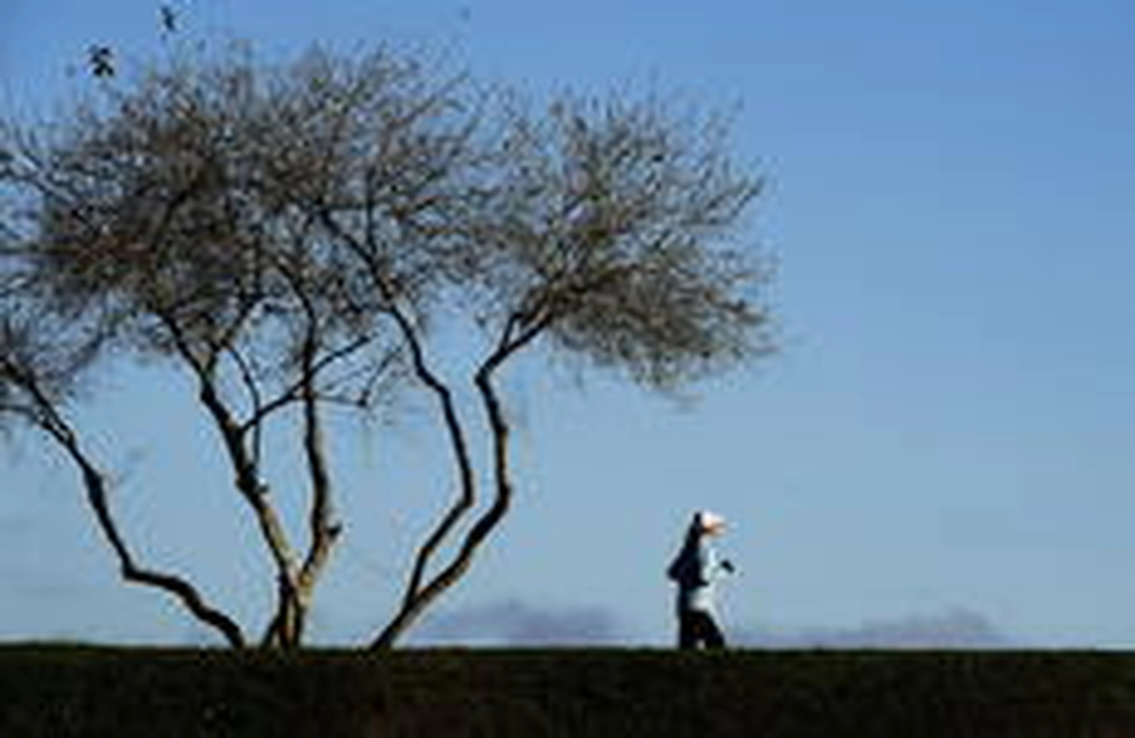 Ricardo Duarte/Agencia RBS