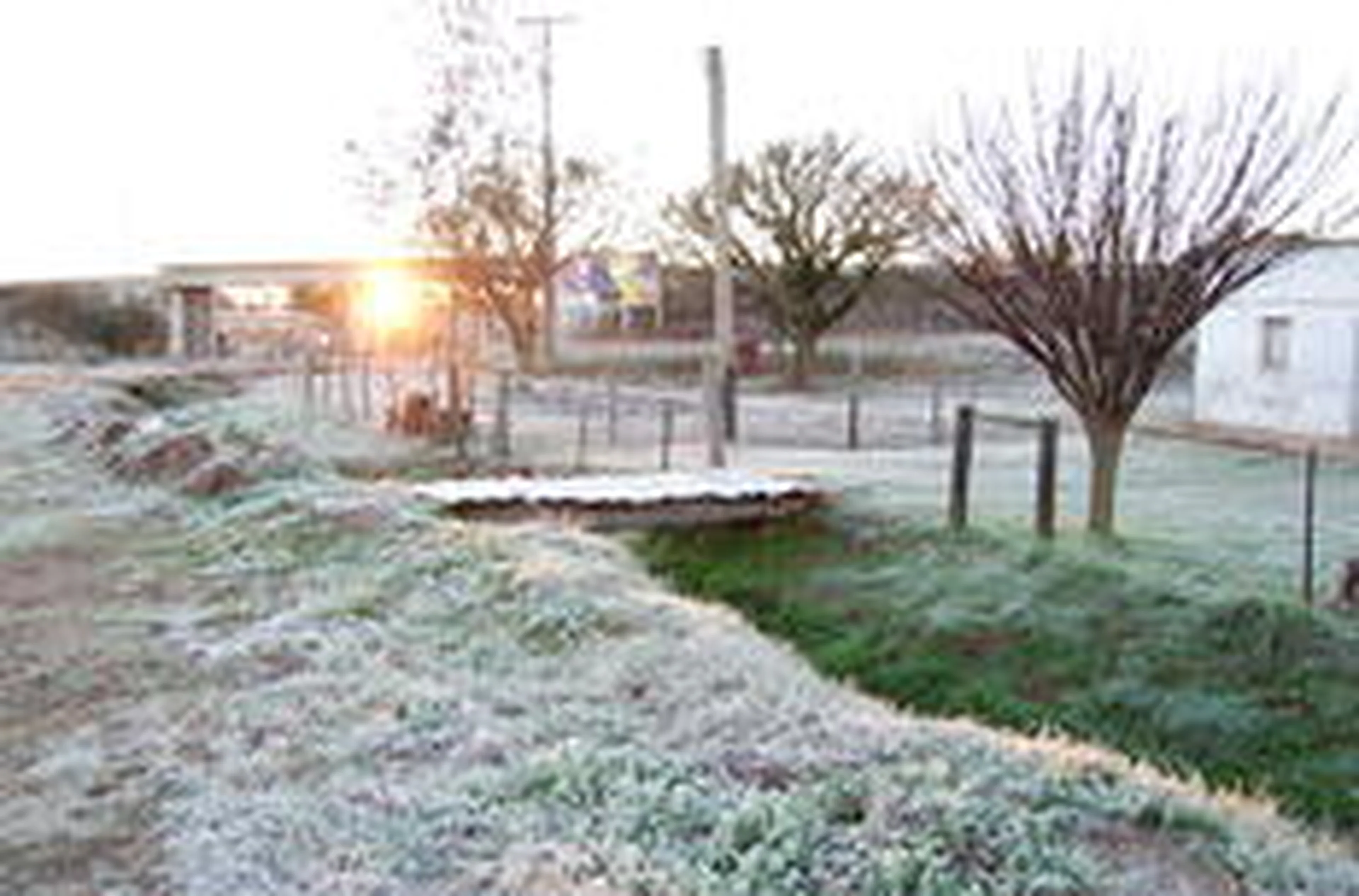 Júlio Lemos/Especial