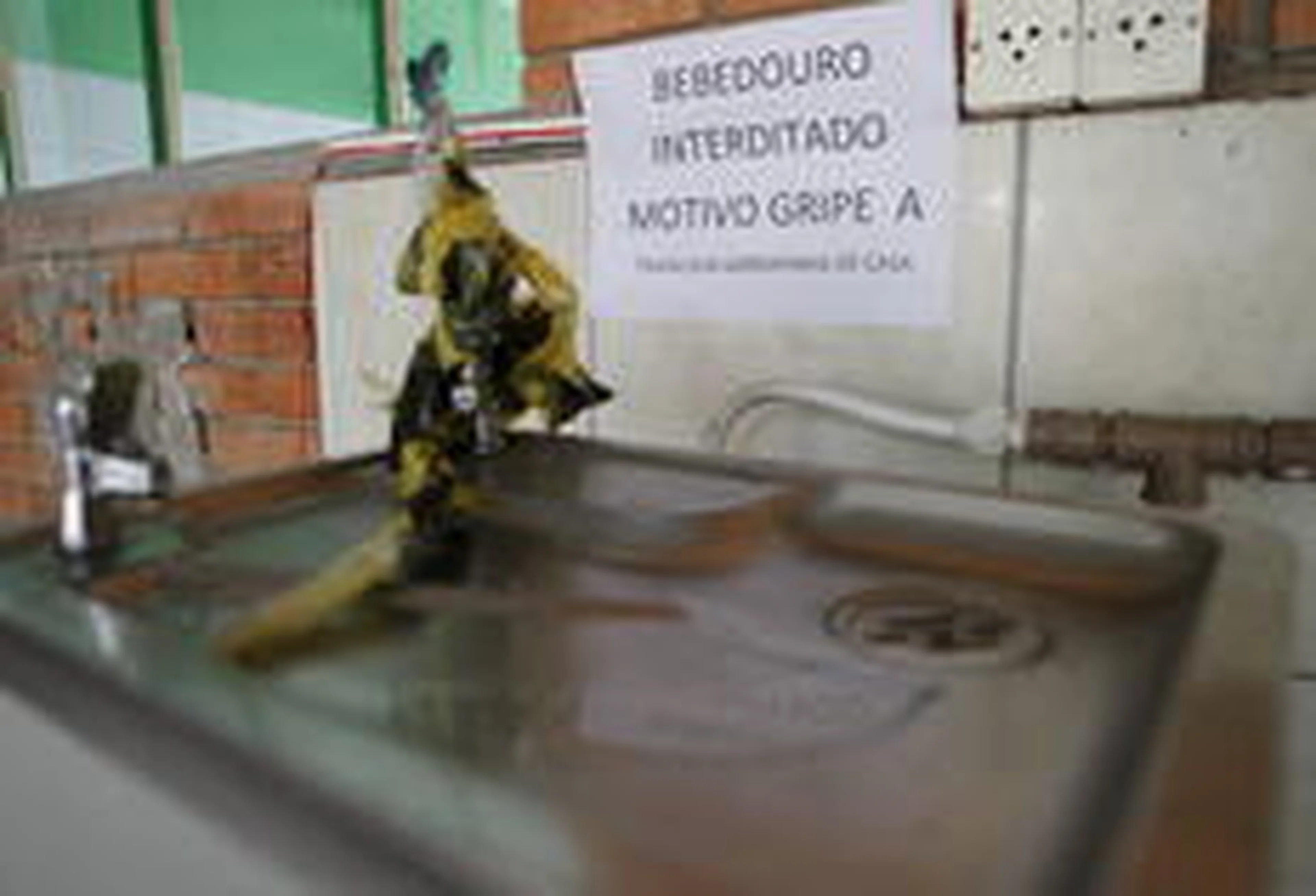Germano Rorato/Especial