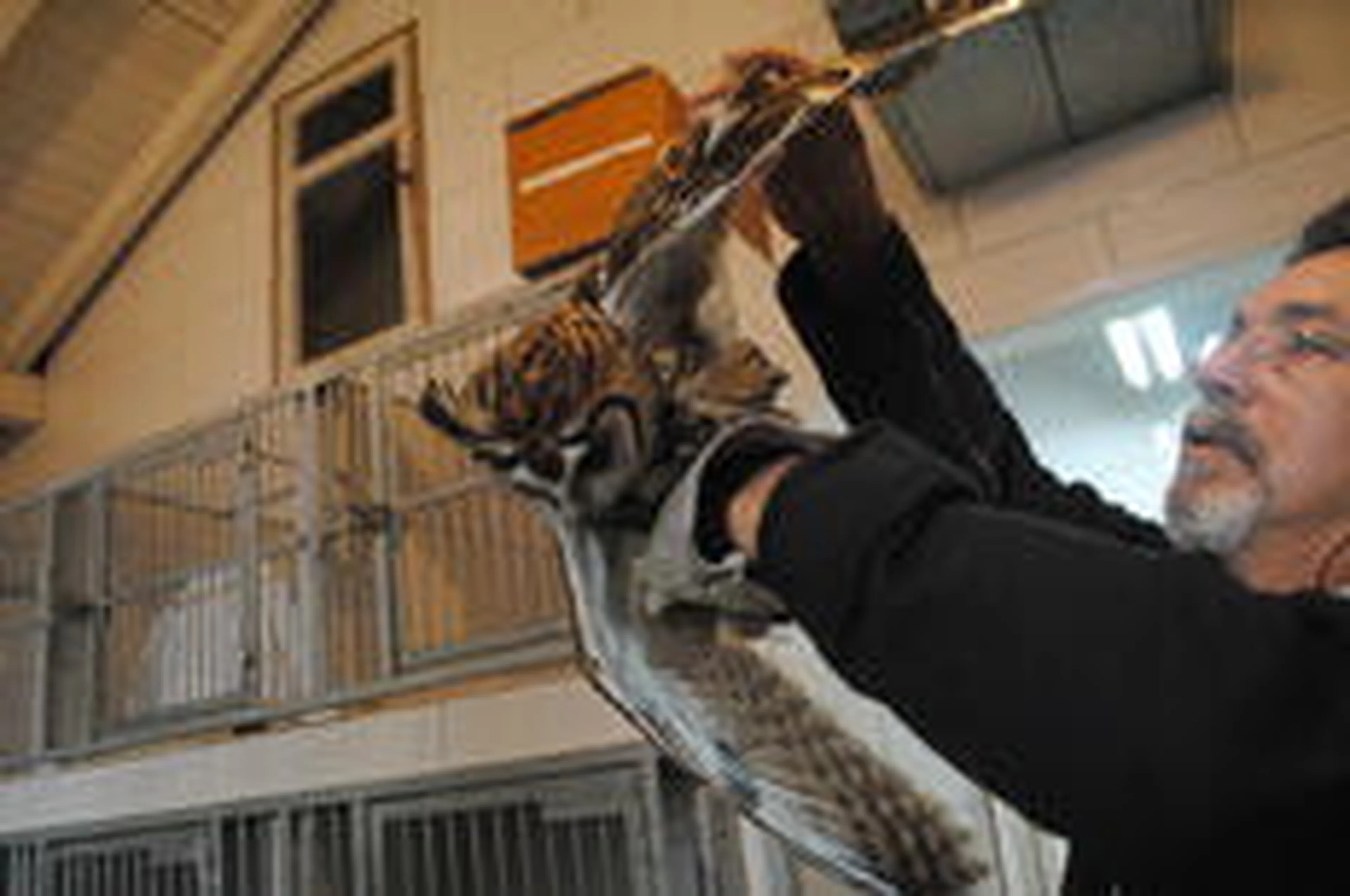 Sérgio Louruz/Divulgação PMPA