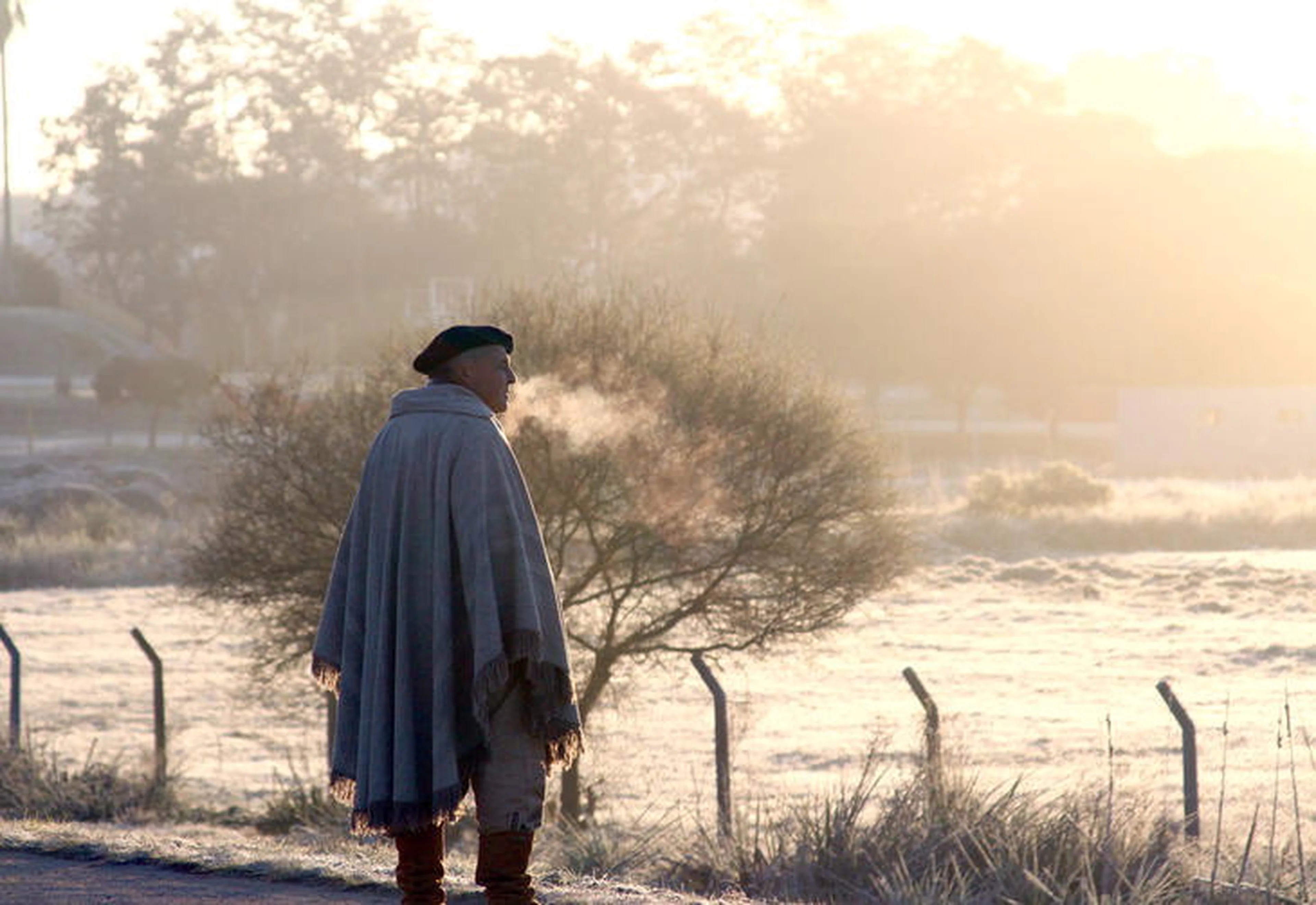 Francisco Bosco/Especial