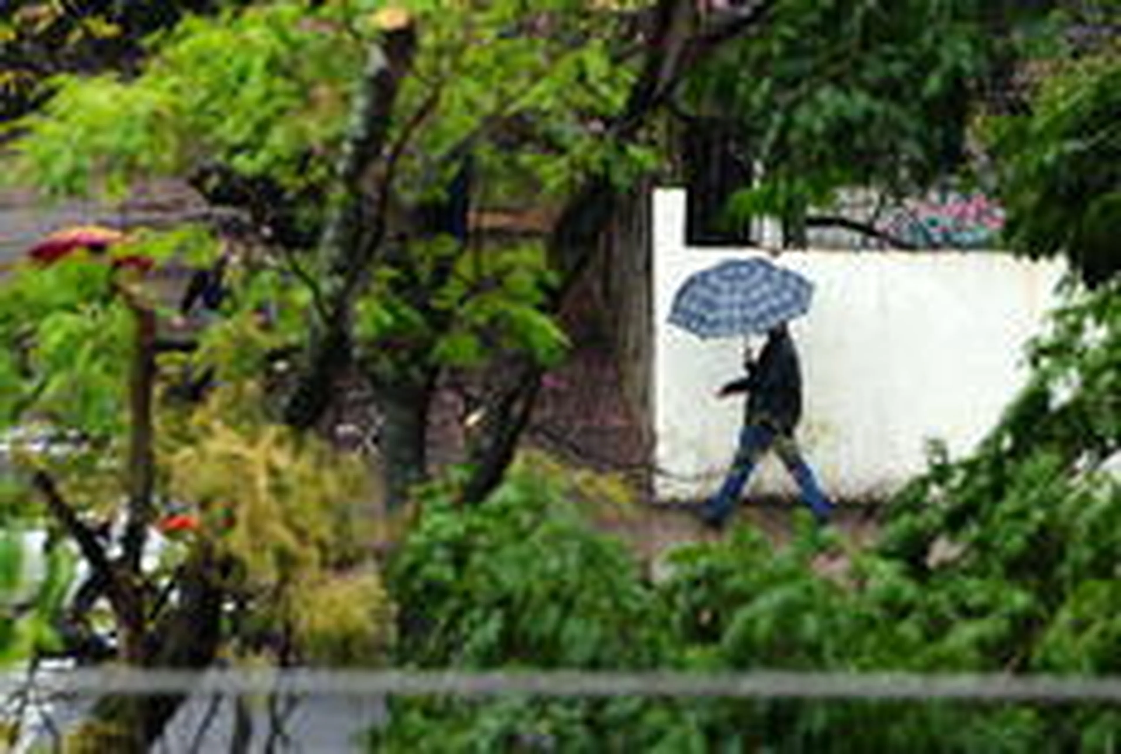 Fernando Gomes/Agencia RBS