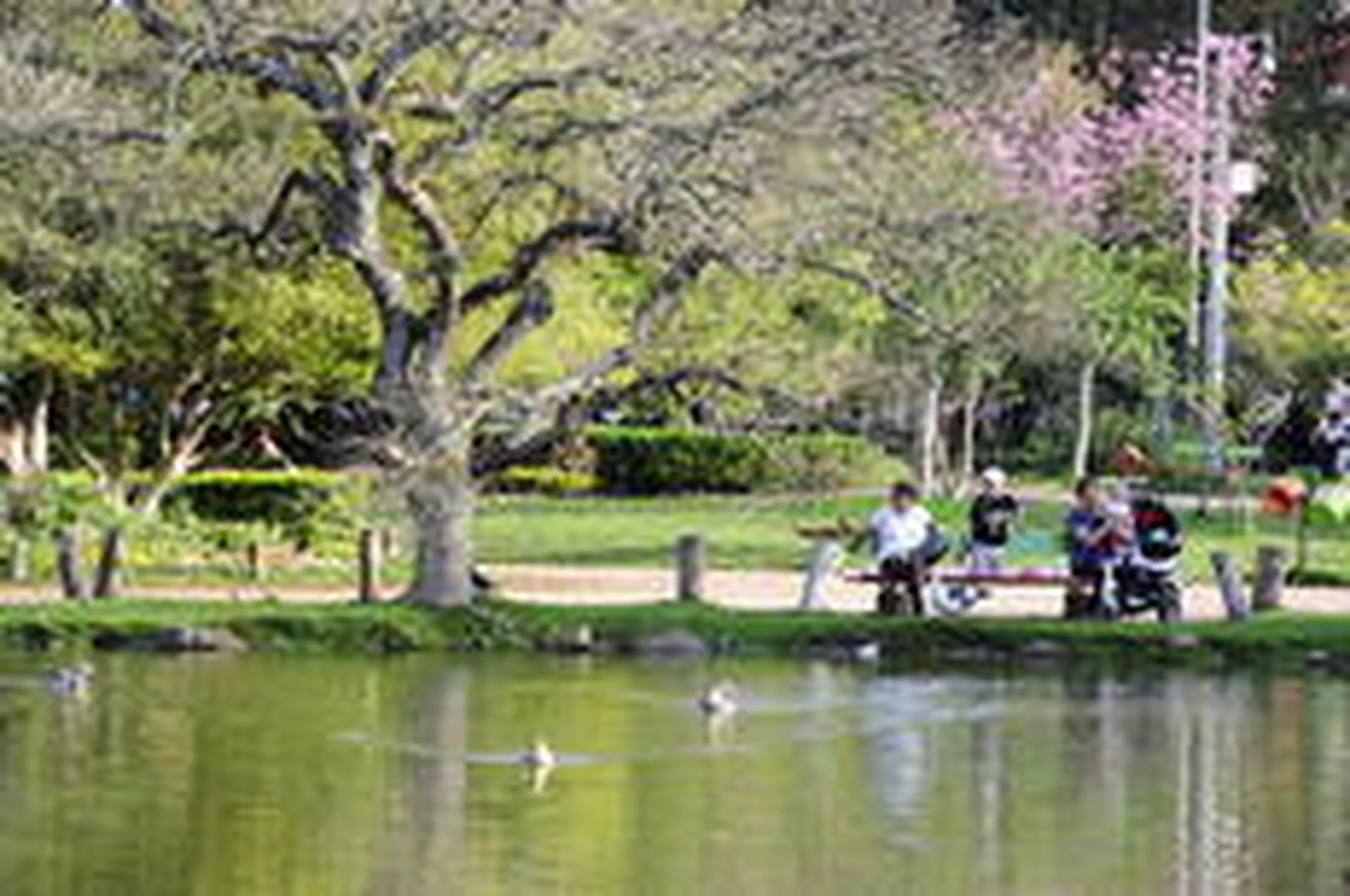 Ricardo Duarte/Agencia RBS