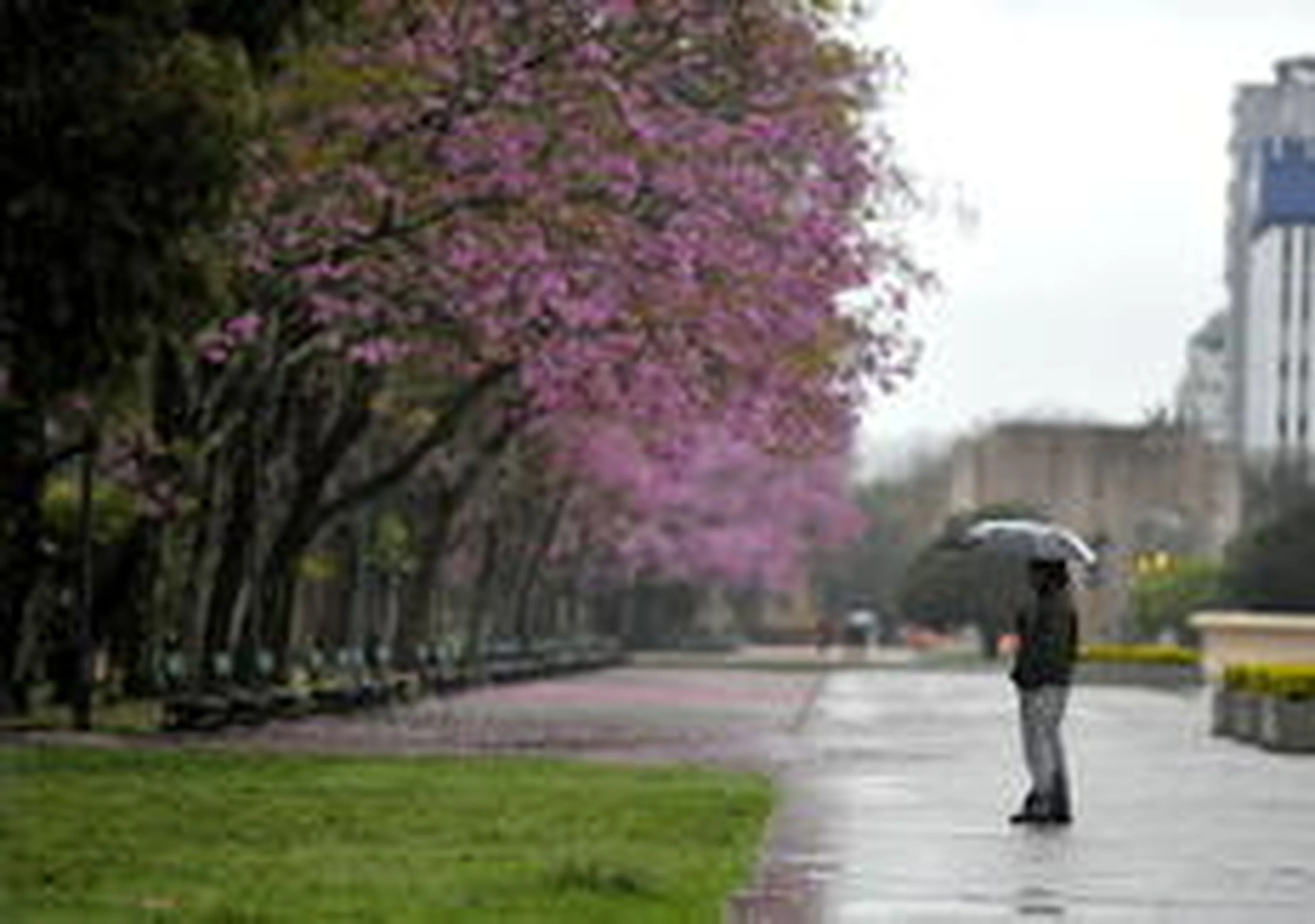 Félix Zucco/Agencia RBS