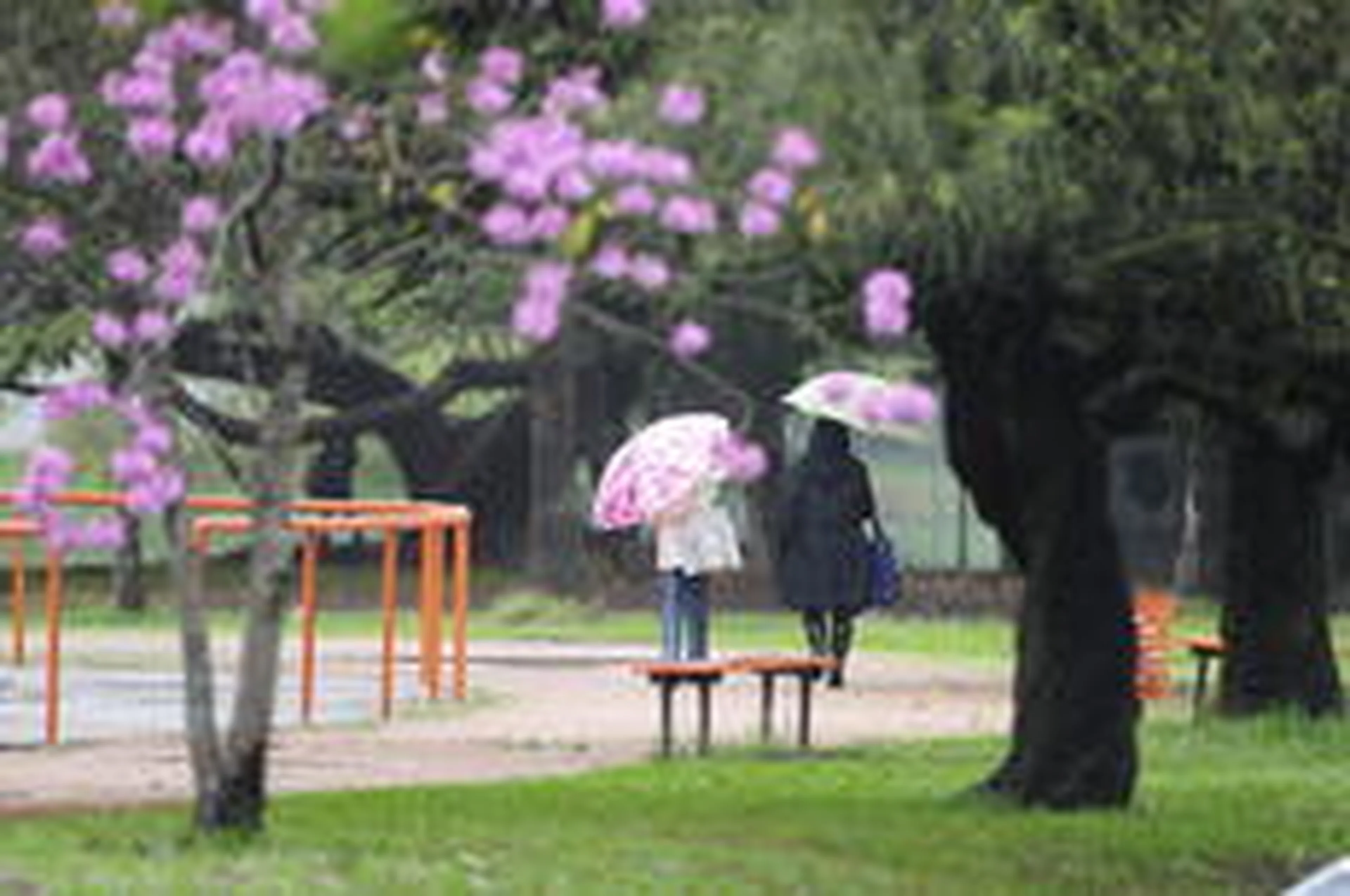 Ronaldo Bernardi/Agência RBS