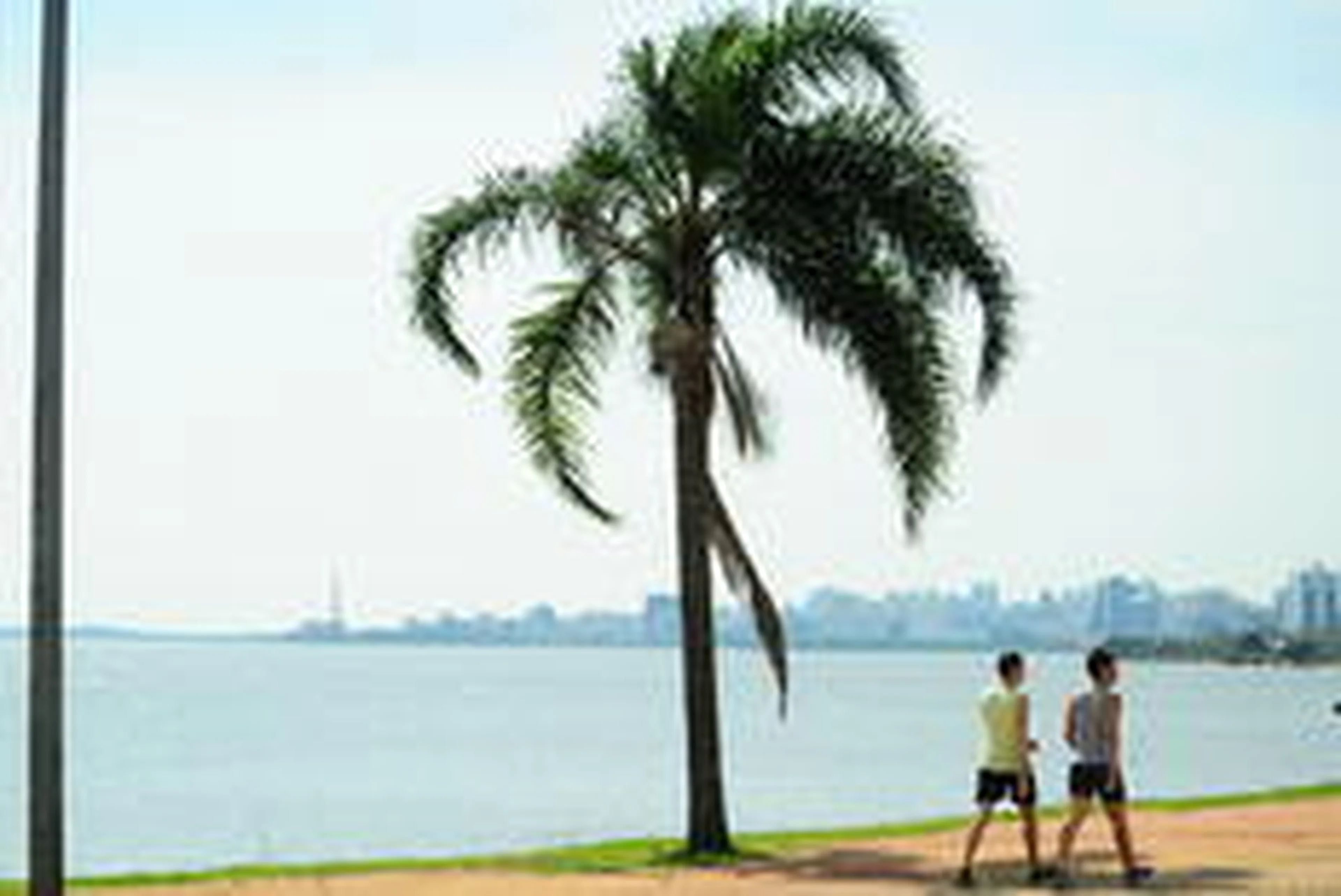 Jean Schwarz/Agencia RBS