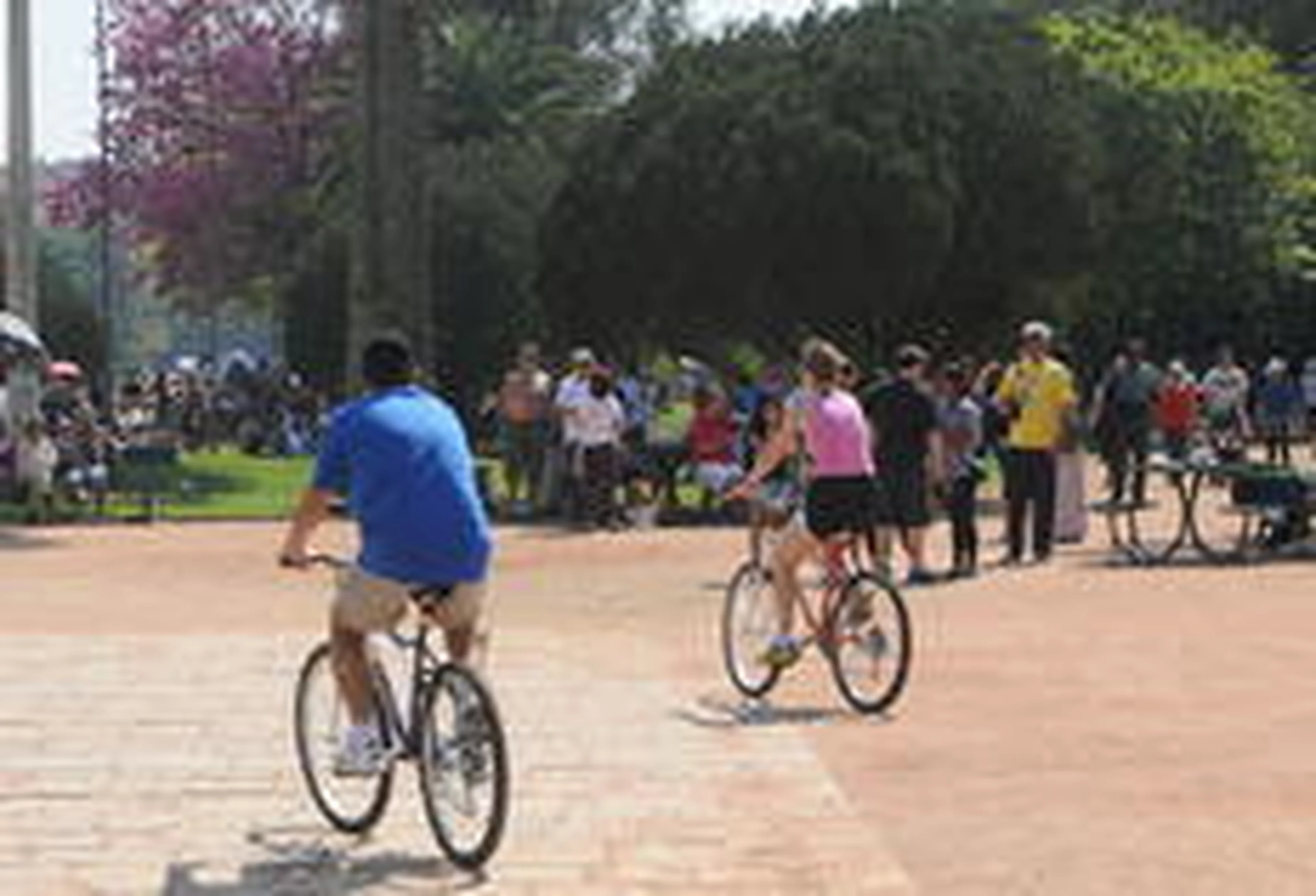 Arivaldo Chaves/Agencia RBS