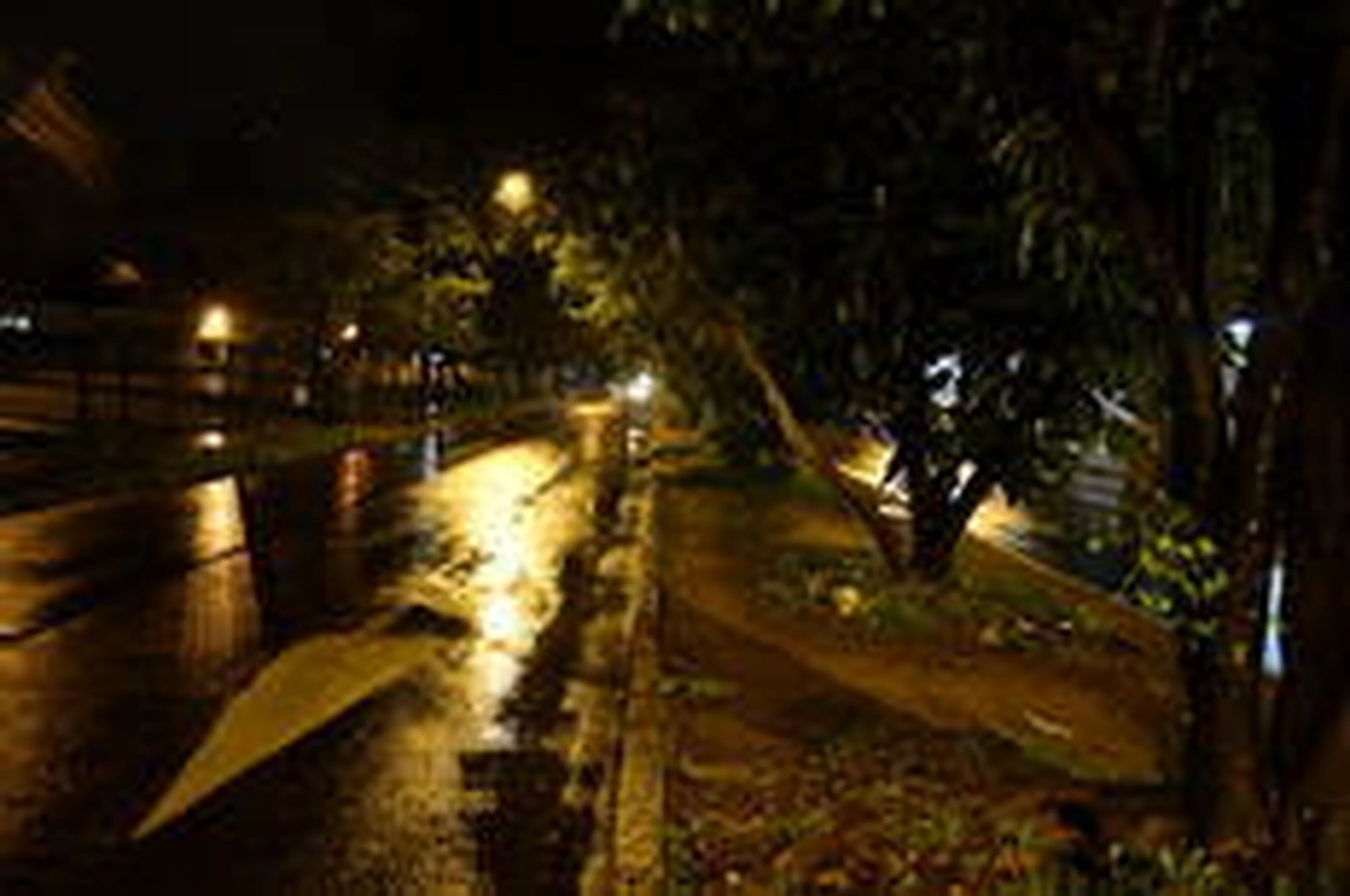 Andréa Graiz/Agencia RBS