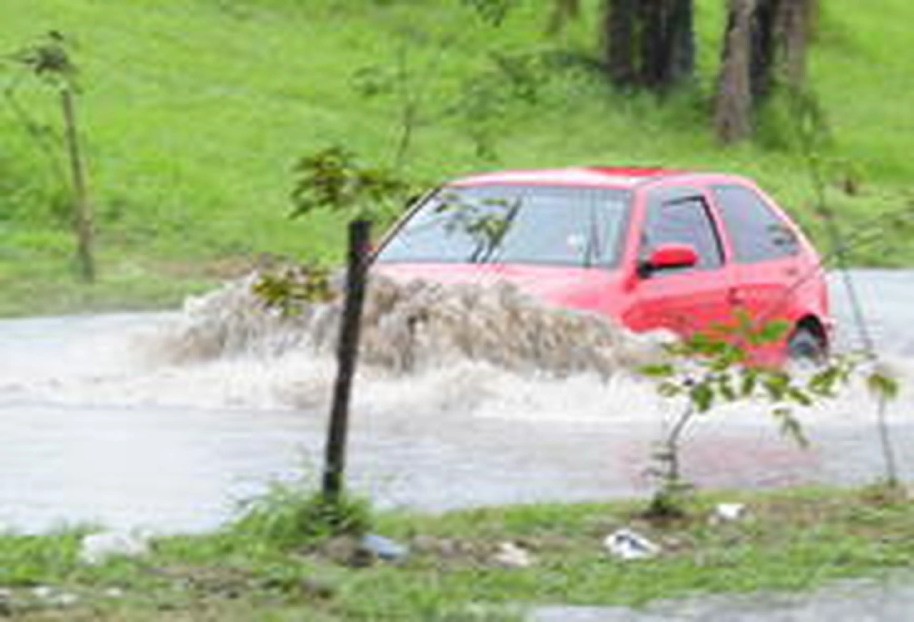 Ronaldo Bernanrdi/Agência RBS