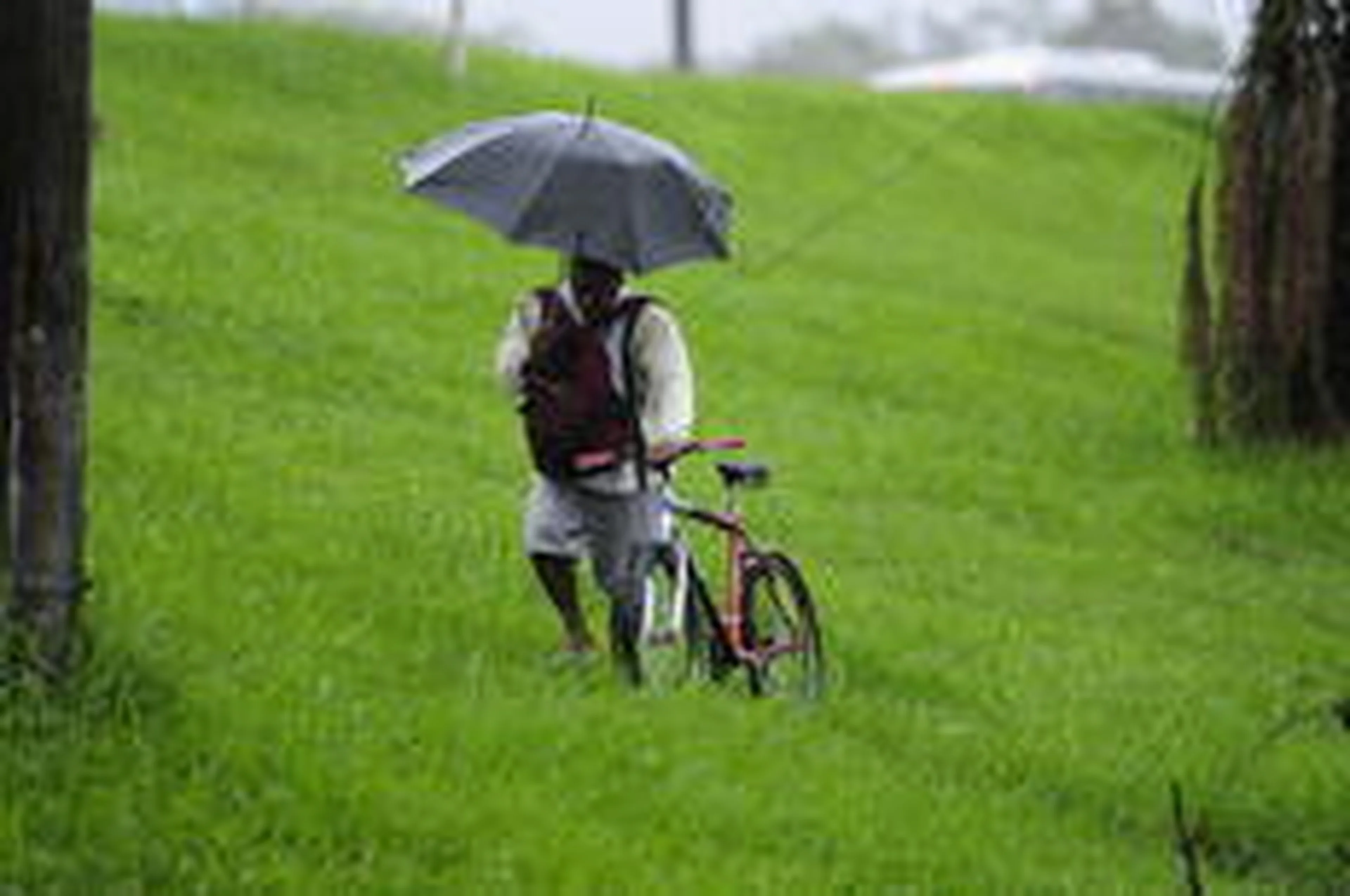 Ronaldo Bernardi/Agencia RBS