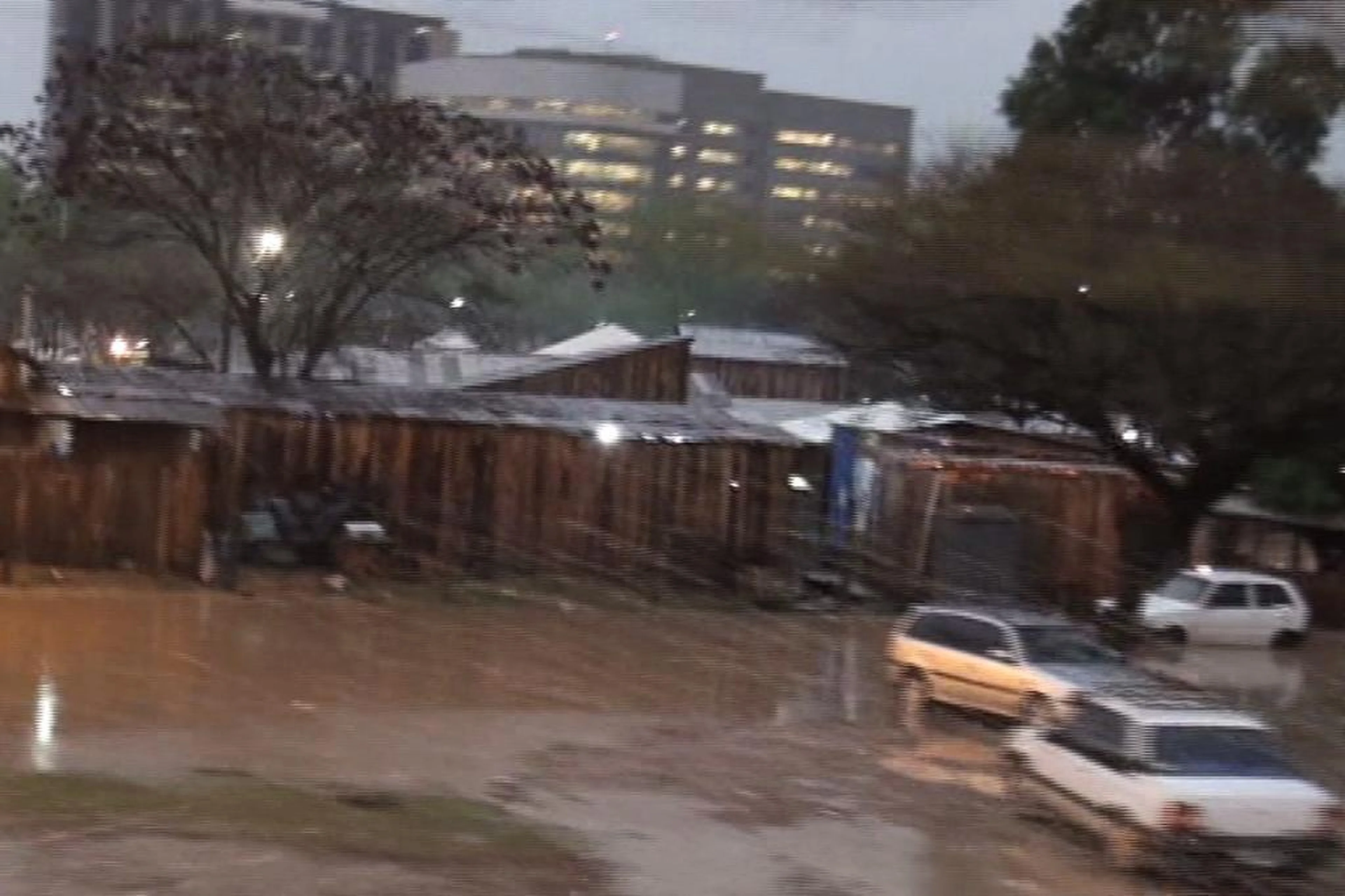 Reprodução/Reprodução