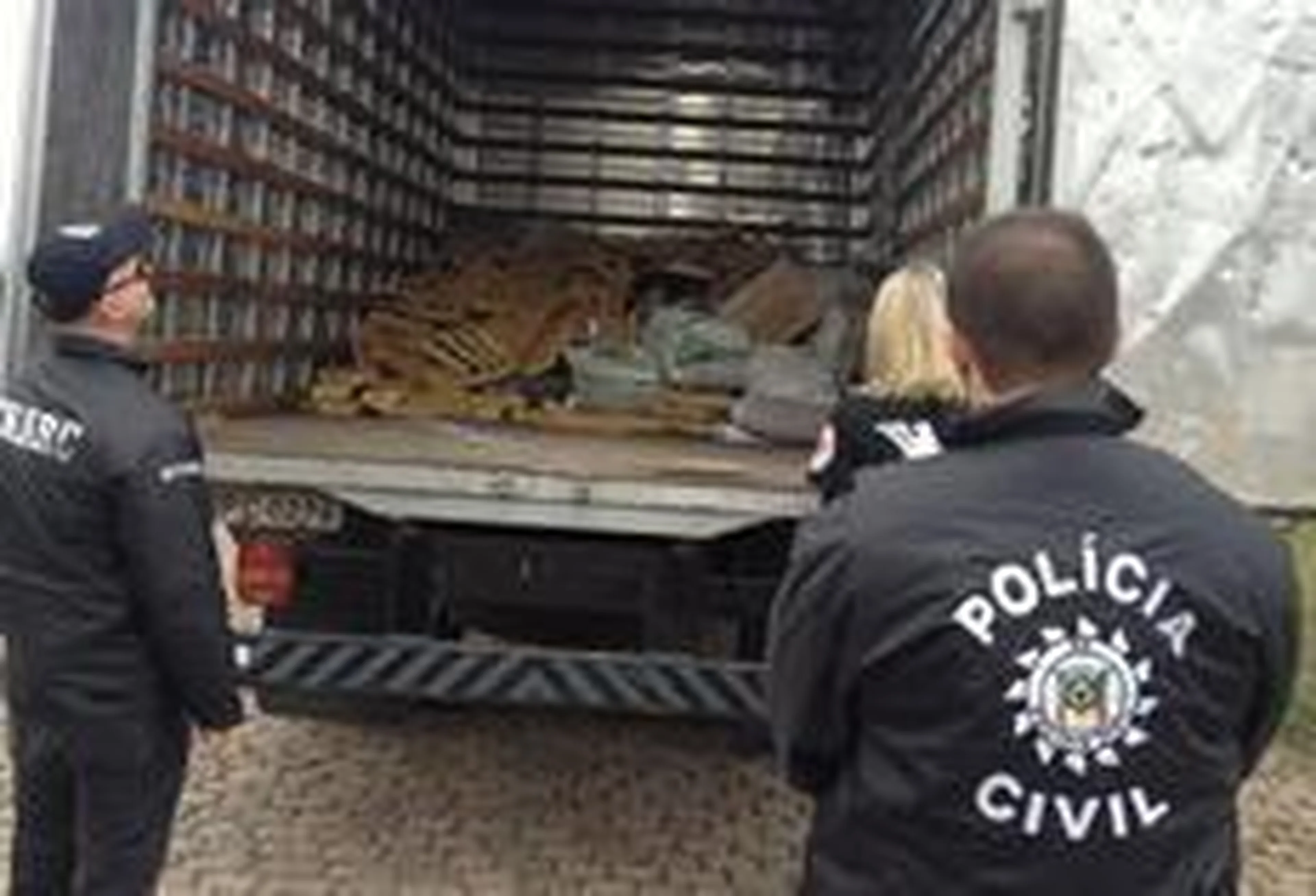 Denarc/Polícia Civil