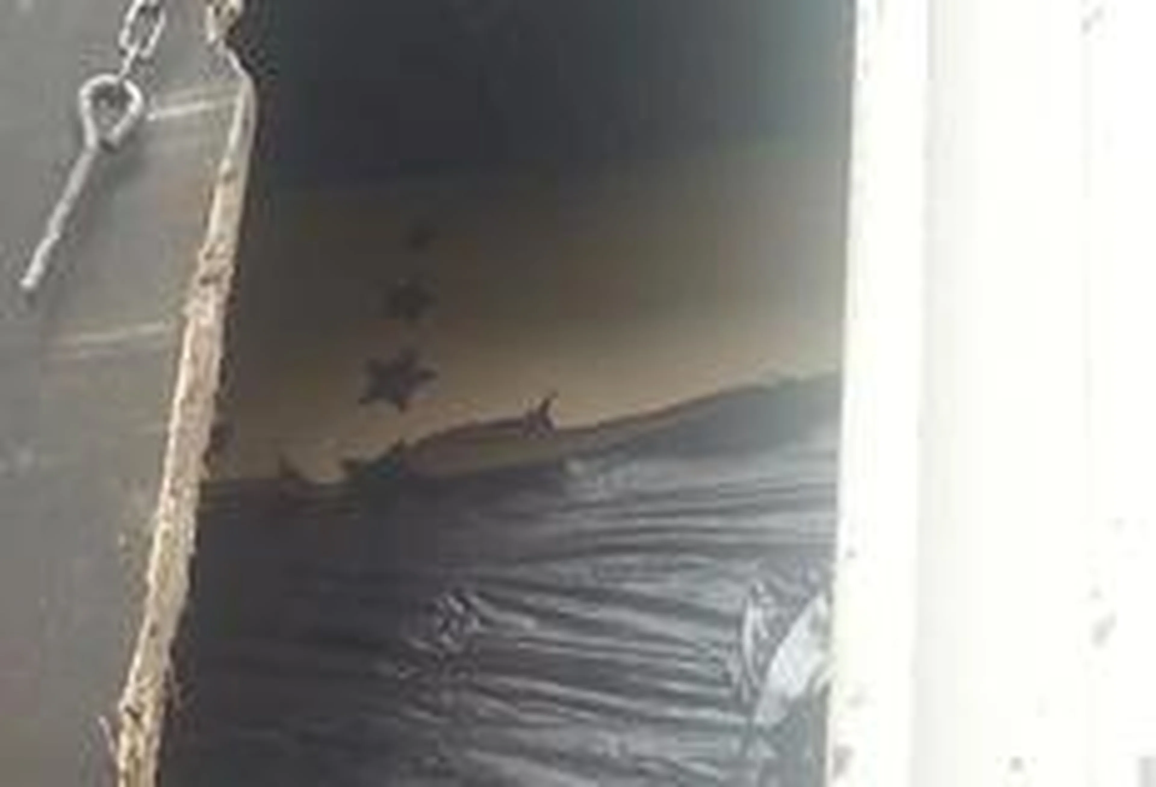 Divulgação/Direp