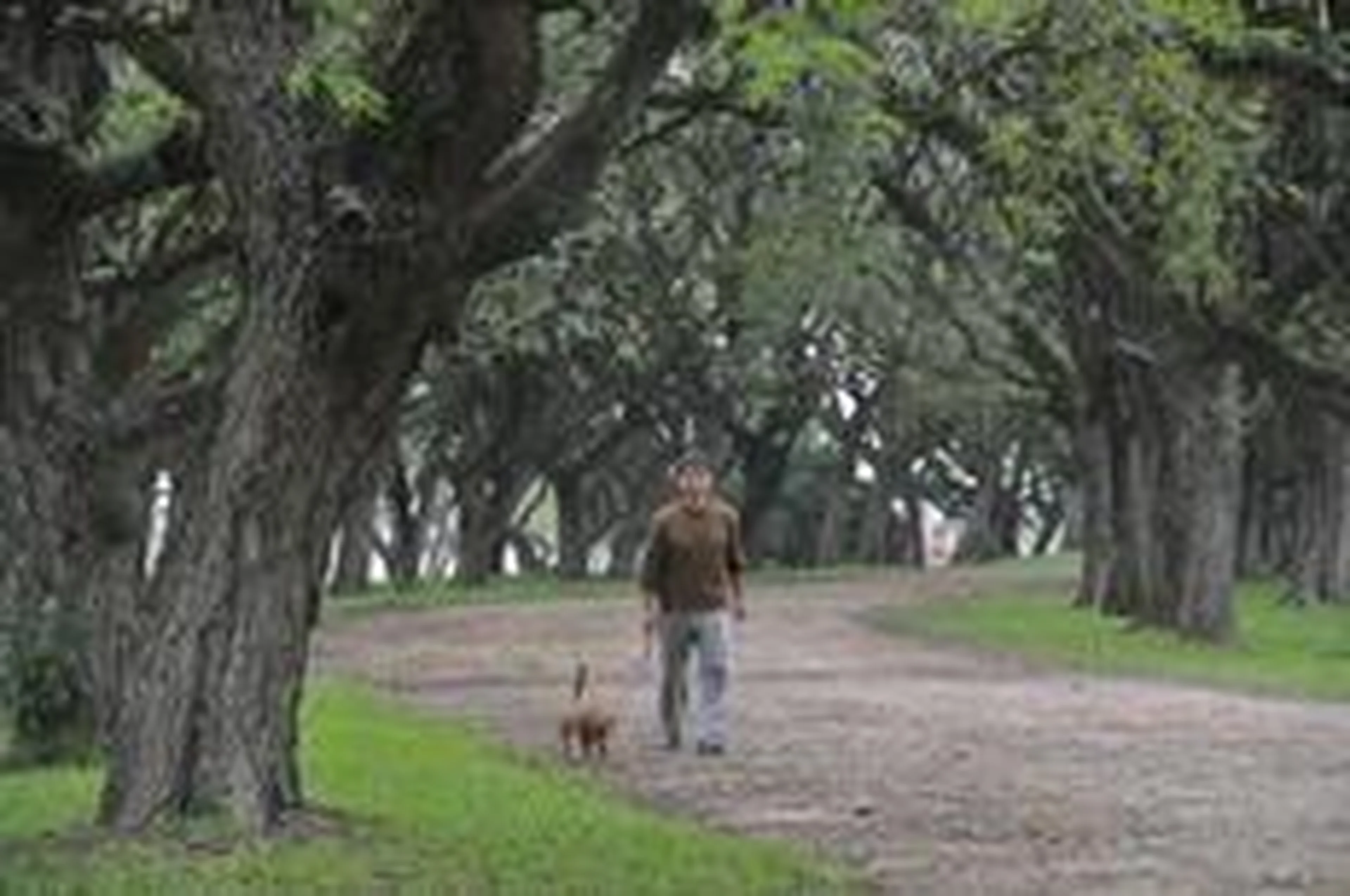 Emílio Pedroso/Agencia RBS