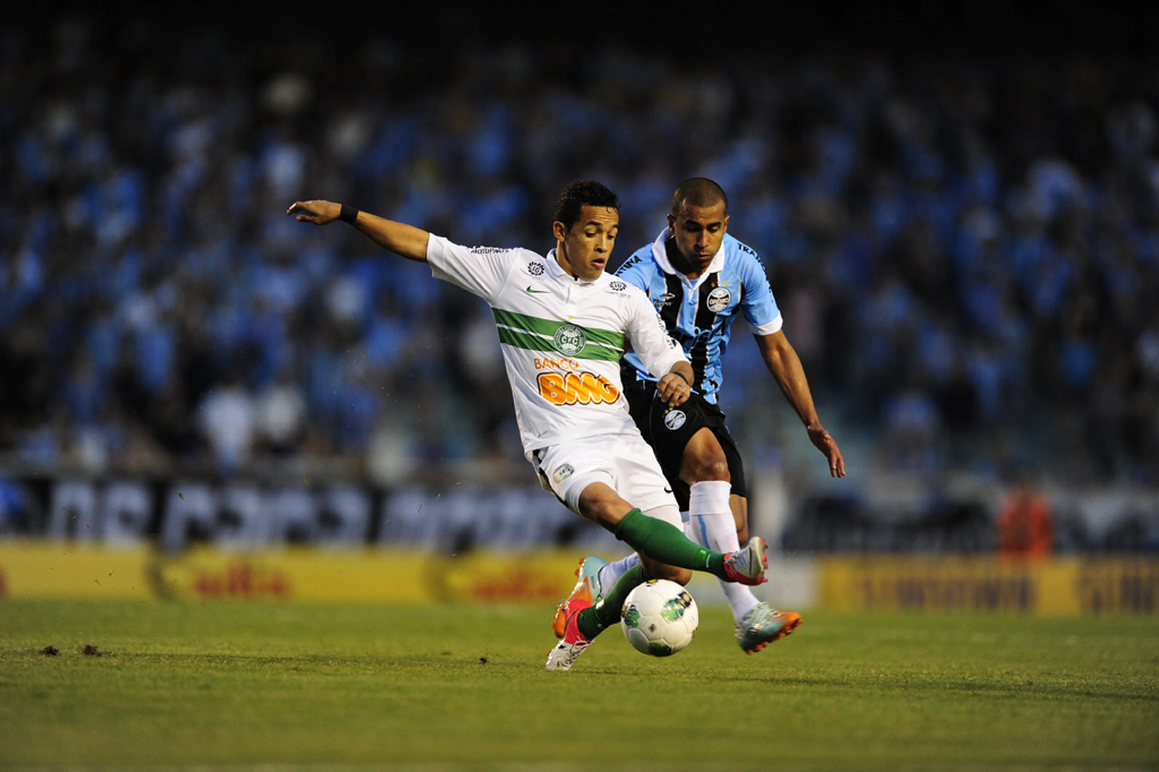 Ricardo Duarte/null