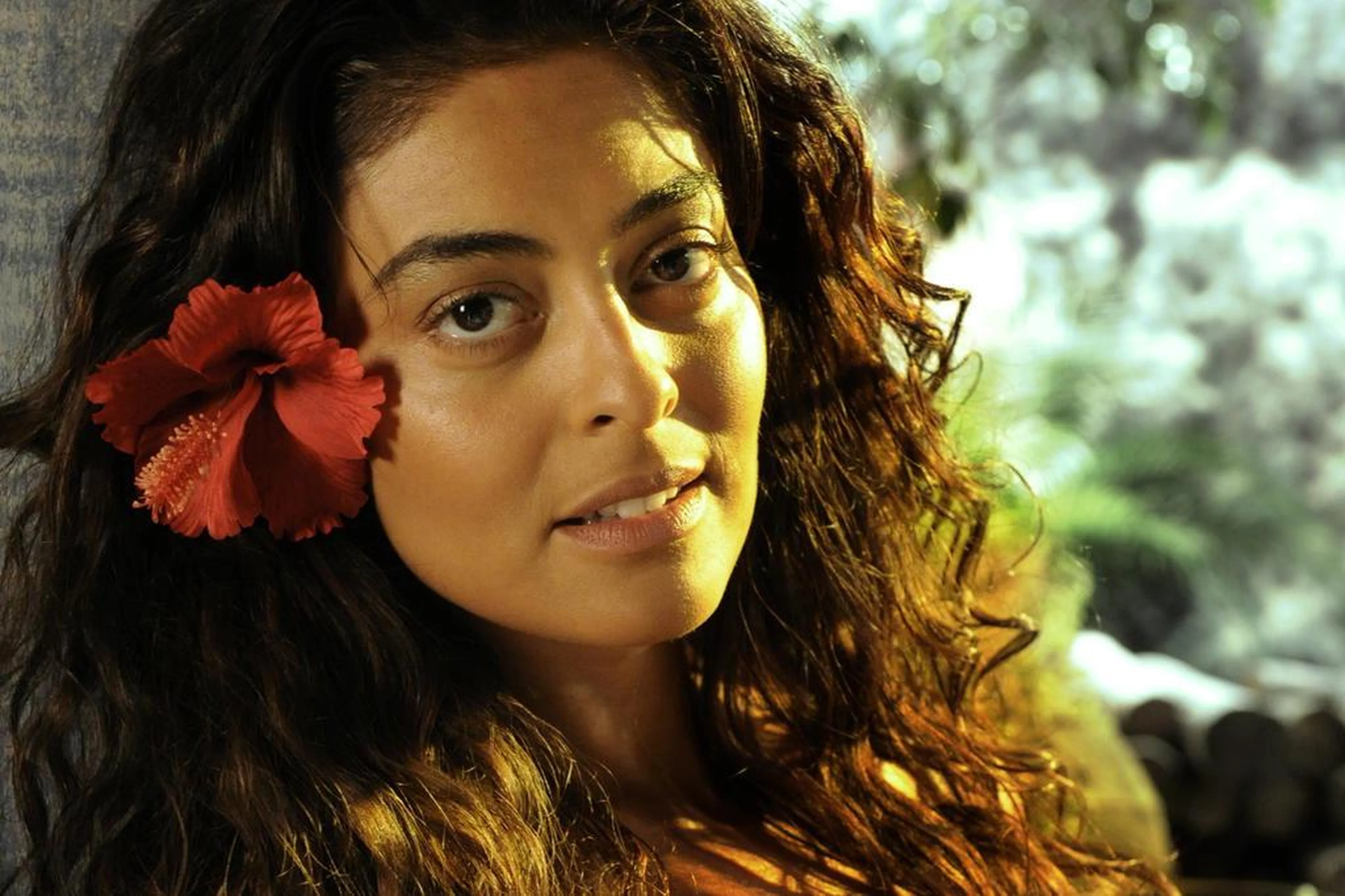 : TV Globo/Estevam Avellar