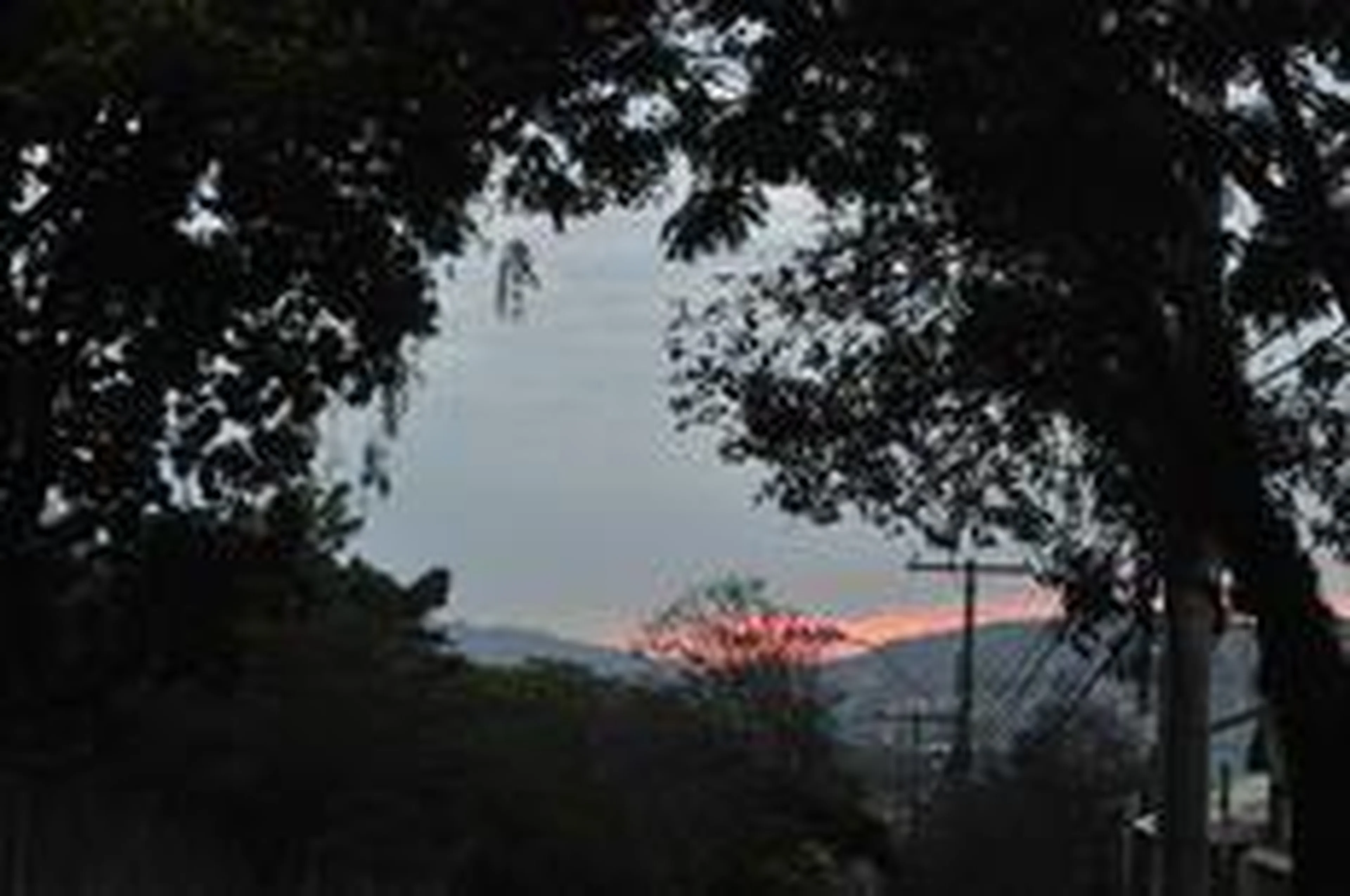 Tadeu Vilani/Zero Hora