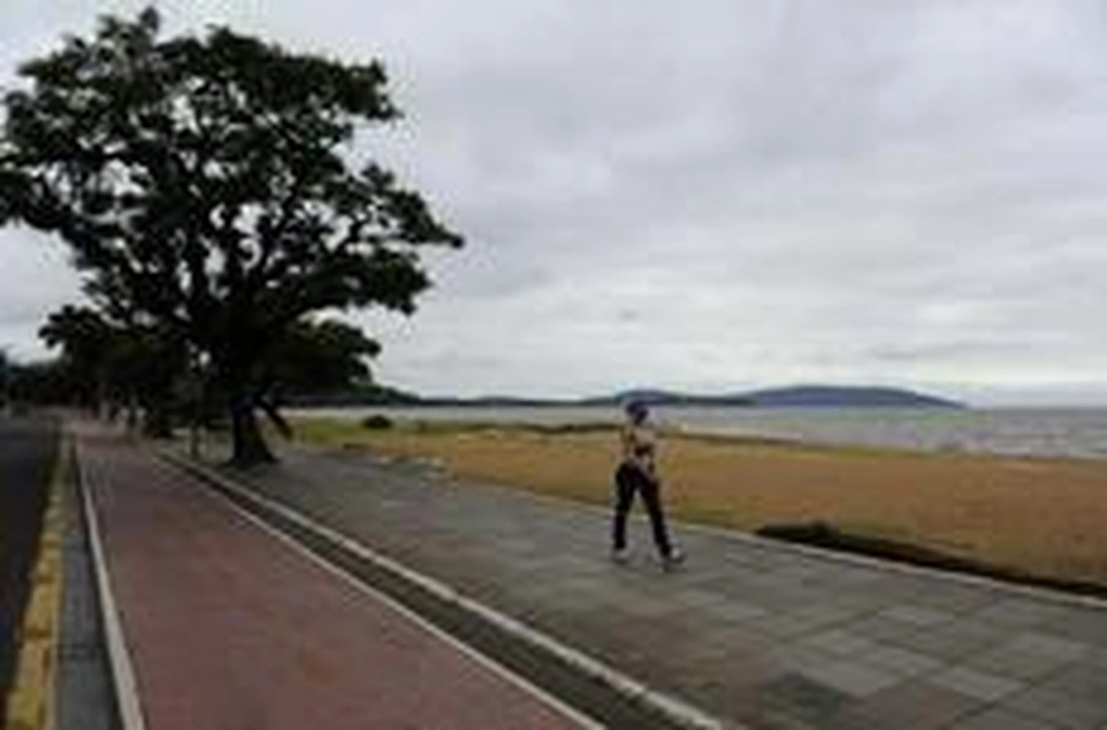 Ronaldo Bernardi/Agencia RBS