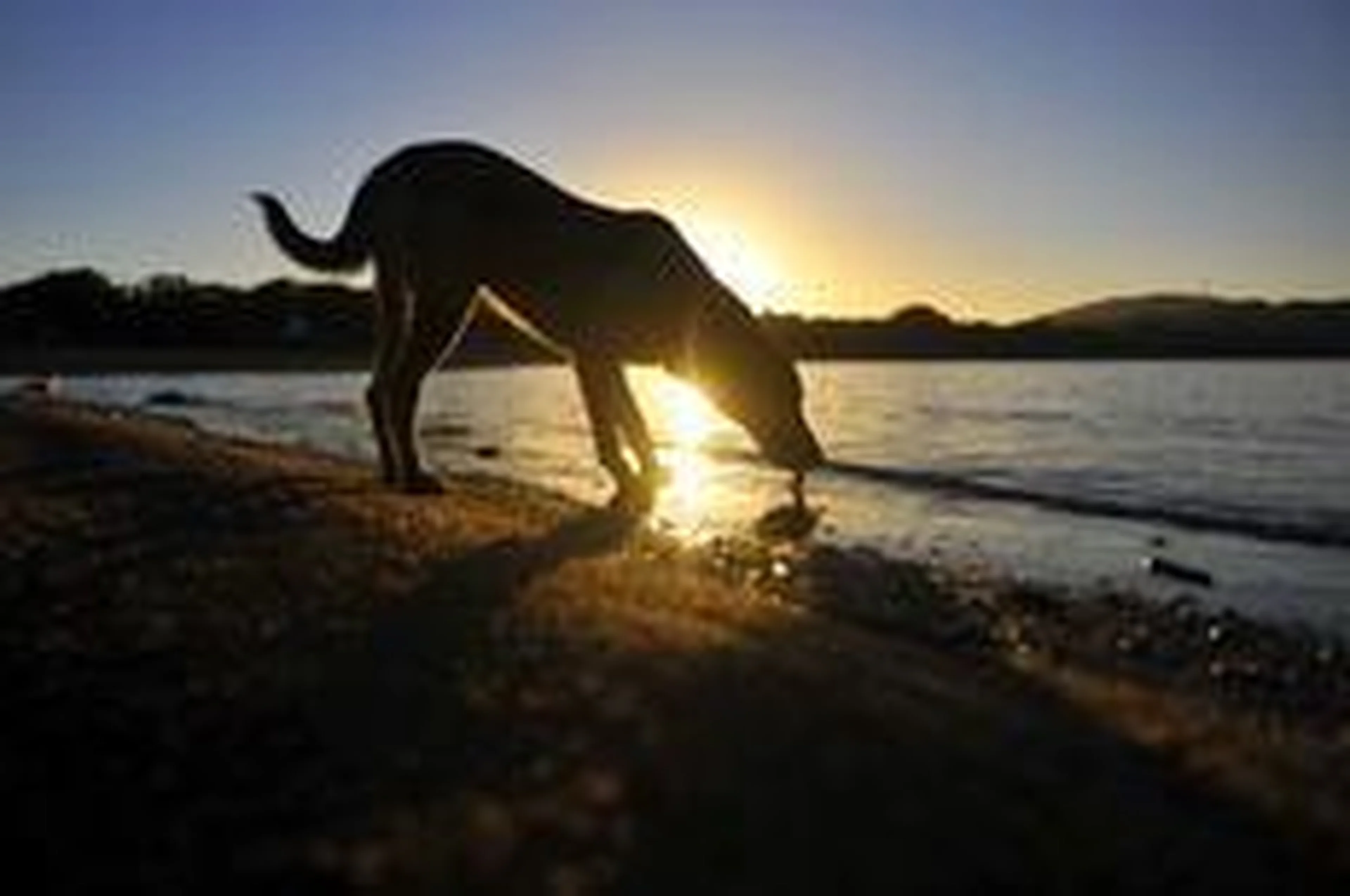 Bruno Alencastro/Agencia RBS