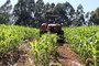 O produtor Osvaldo Otto, 61 anos, já sofreu acidente com um trator  na propriedade em que trabalha, de 60 hectares, em Barão de Cotegipe. As máquinas agricolas são responsáveis pela maior causa de mortes em acidentes no meio rural.