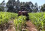 Mortes em acidentes com máquinas agrícolas aumentam na Serra