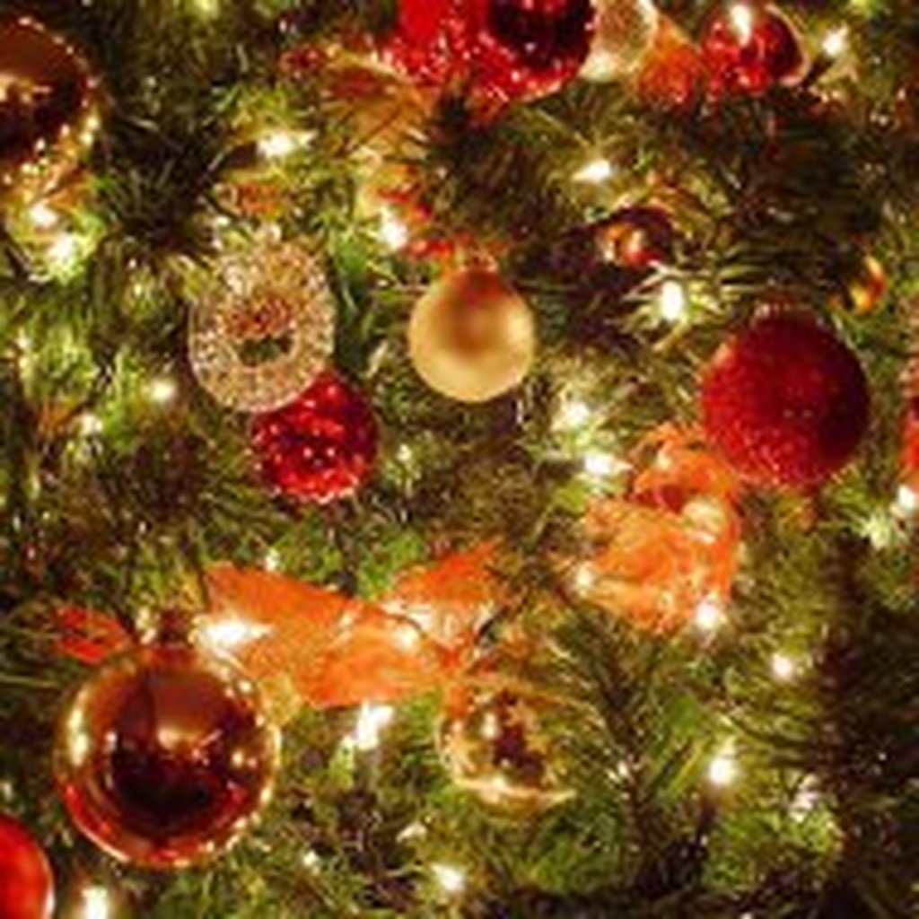 Tem uma data certa para montar a árvore de Natal? | GZH