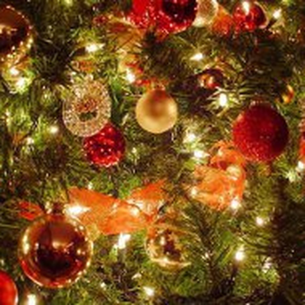 Tem uma data certa para montar a árvore de Natal? | GZH Tem uma data certa para montar a árvore de Natal? | GZH