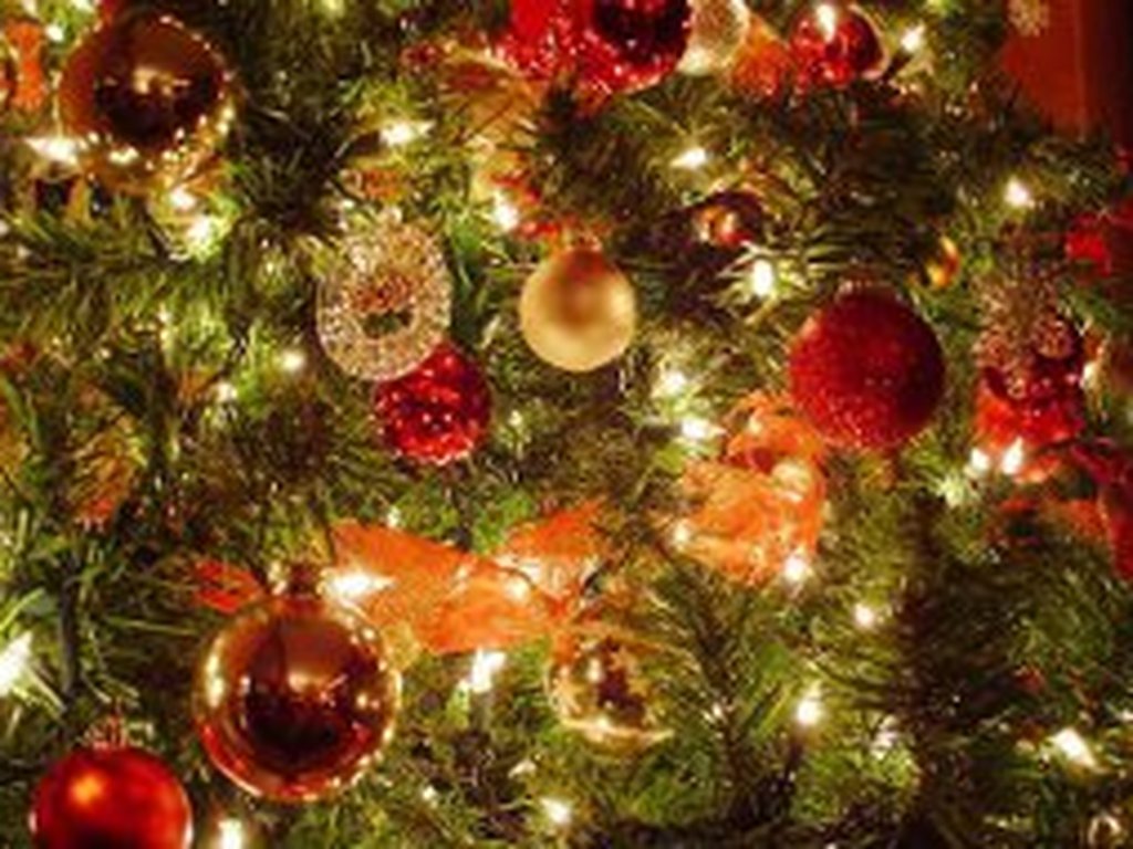 Tem uma data certa para montar a árvore de Natal? | GZH