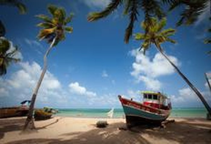 Divulgação / Fundação Toyota do Brasil