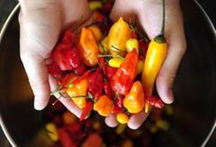 Diego Vara / Agencia RBS